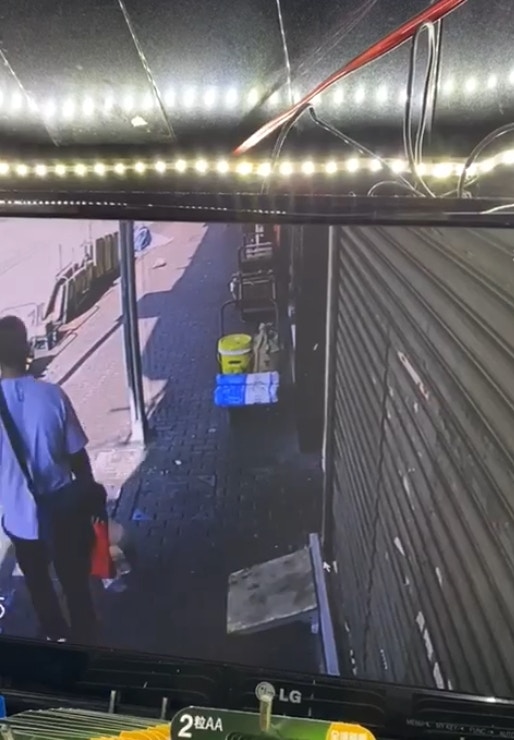 根據閉路電視片段,男子途徑建築材料公司,「可樂」於店外跳躍,男賊注意到「可樂」,其後折返將「可樂」抱走。(網上片段截圖) 根據閉路電視片段,男子途徑建築材料公司,「可樂」於店外跳躍,男賊注意到「可樂」,其後折返將「可樂」抱走。(網上片段截圖)