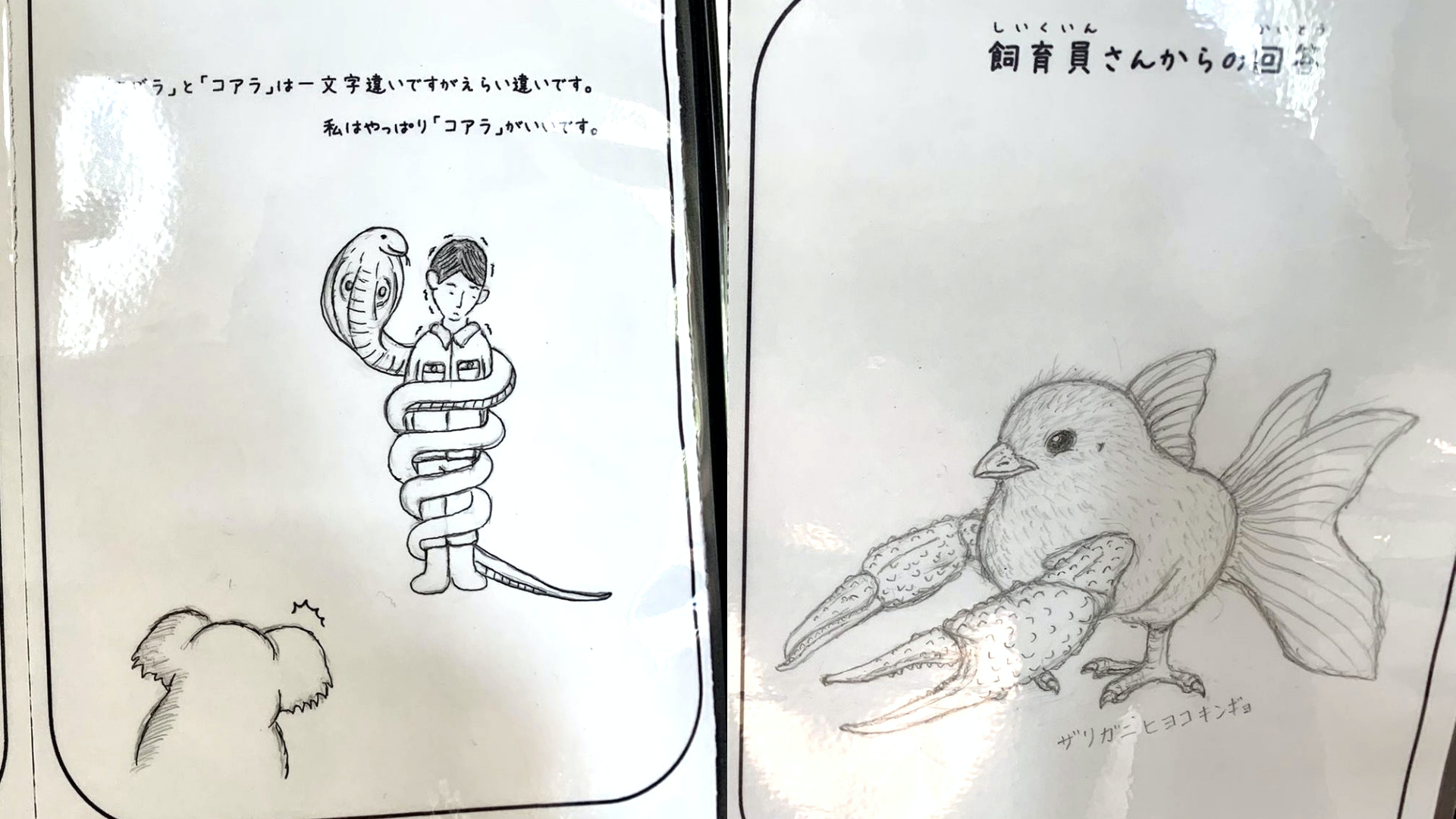 ヒヨコ キンギョ ザリガニ