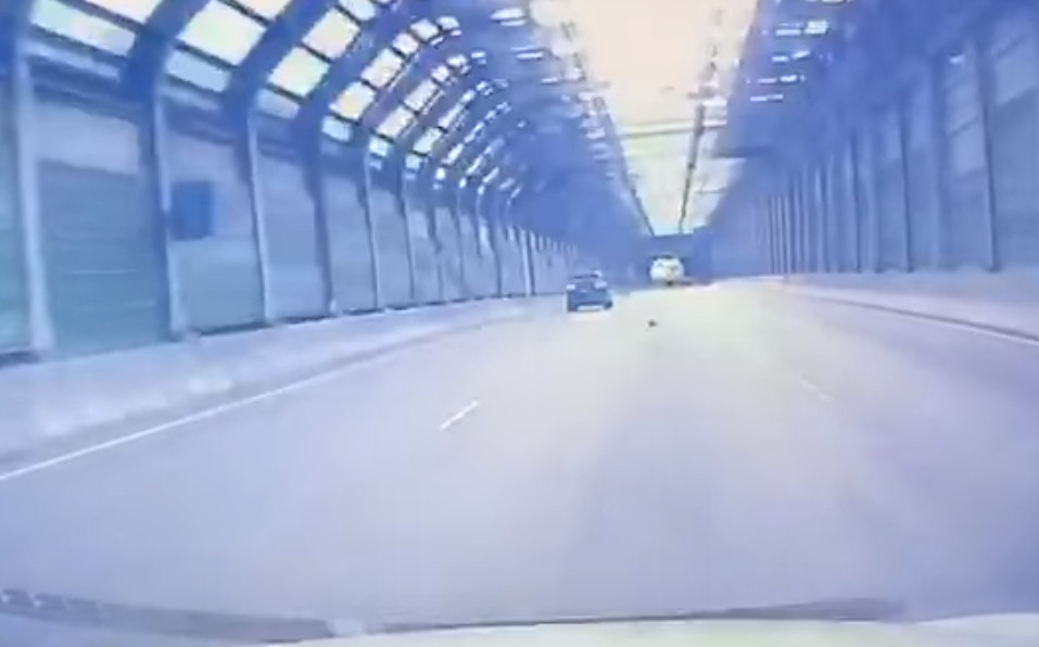 車CAM片段所見,一隻小貓疑似從一輛私家車內掉出來,貓咪在地上不停翻滾,後方司機見狀立即停車並救起牠。(影片截圖) 車CAM片段所見,一隻小貓疑似從一輛私家車內掉出來,貓咪在地上不停翻滾,後方司機見狀立即停車並救起牠。(影片截圖)