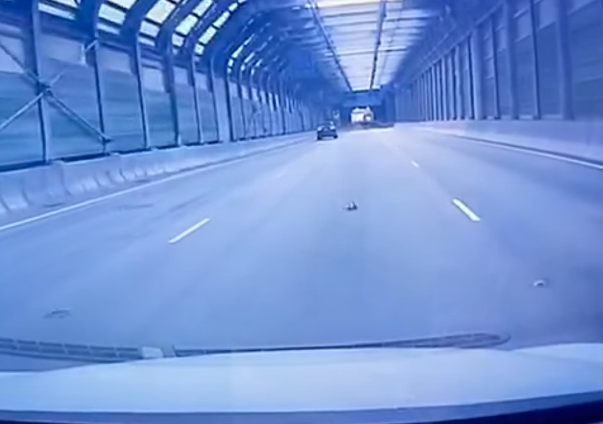 車CAM片段所見,一隻小貓疑似從一輛私家車內掉出來,貓咪在地上不停翻滾,後方司機見狀立即停車並救起牠。(影片截圖) 車CAM片段所見,一隻小貓疑似從一輛私家車內掉出來,貓咪在地上不停翻滾,後方司機見狀立即停車並救起牠。(影片截圖)