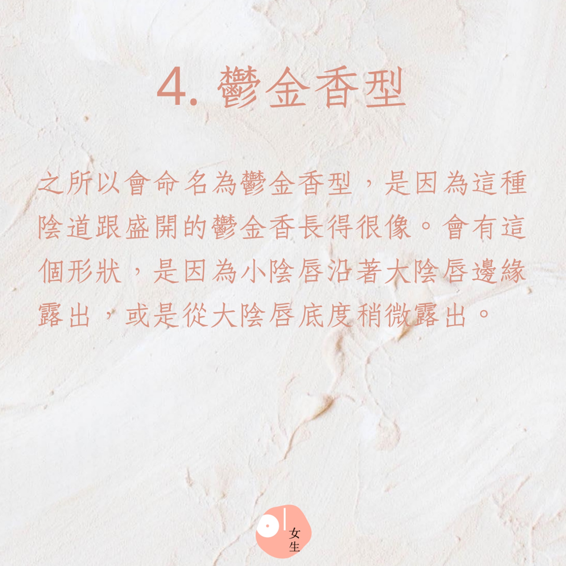 陰道和外陰的5種常見形狀(01製圖) 陰道和外陰的5種常見形狀(01製圖)