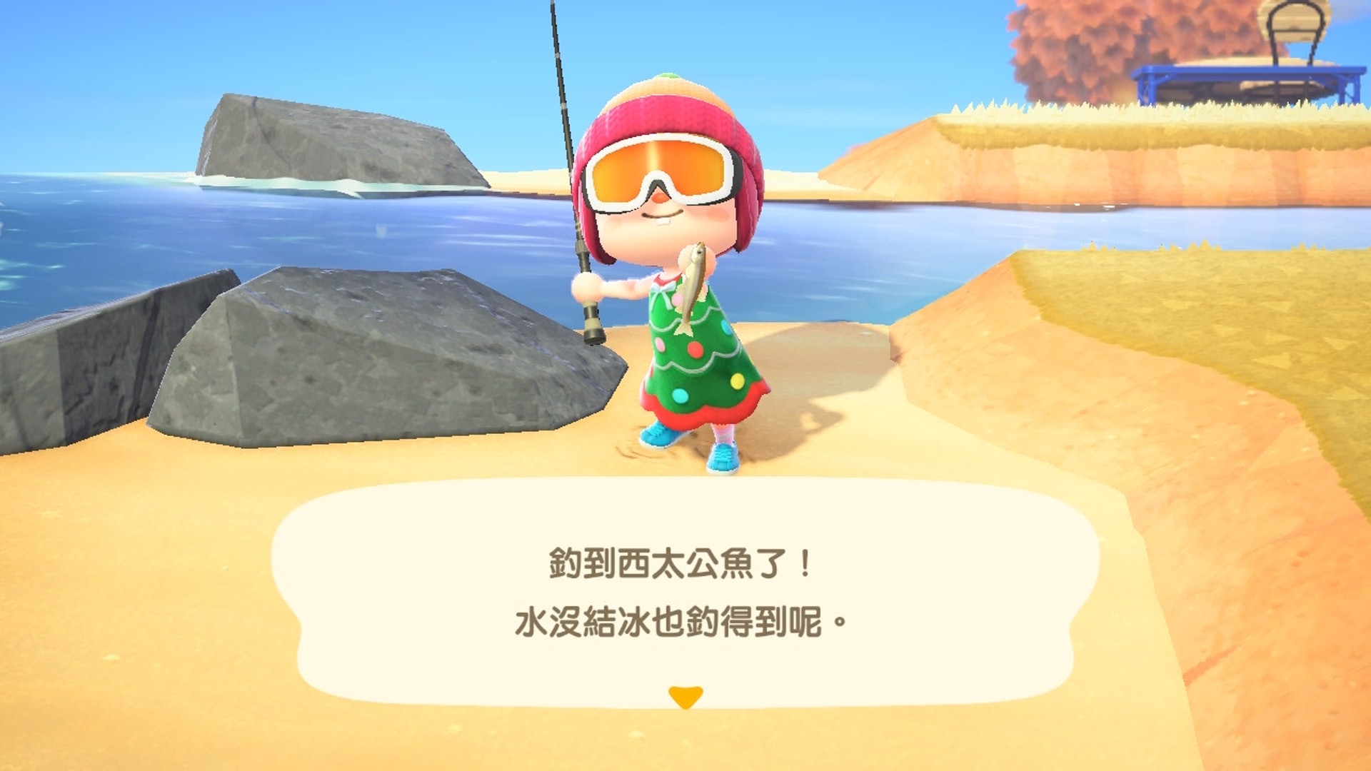 動物森友會 動森攻略 12月魚類圖鑑及物價夢幻之魚重臨北半球 動物森友會 動森攻略 12月魚類圖鑑及物價夢幻之魚重臨北半球