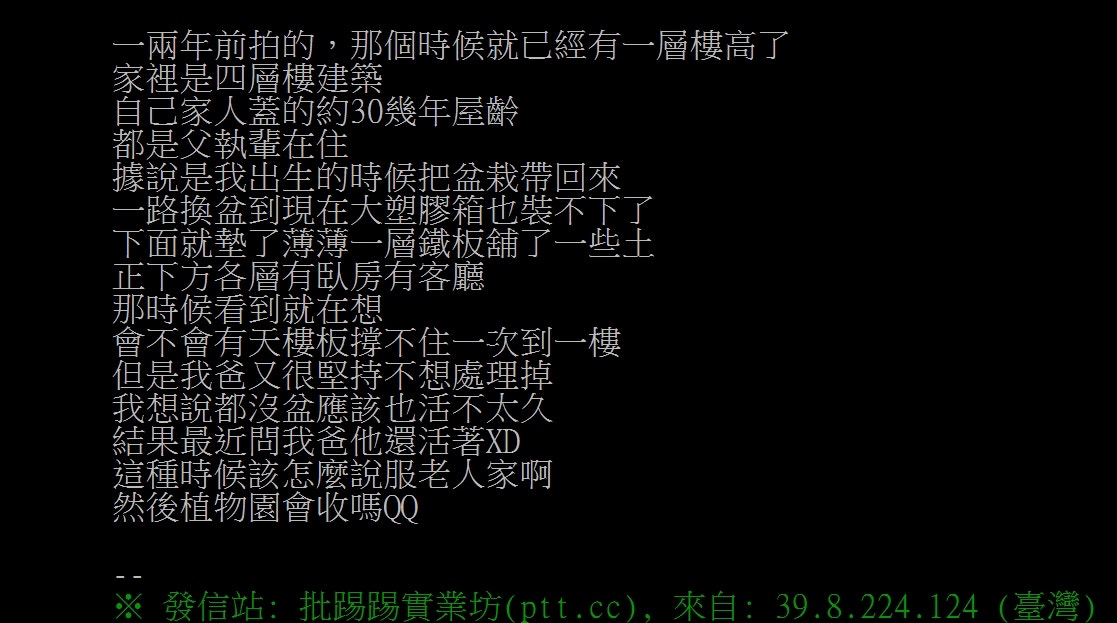 盆栽竟然變咗棵 樹 愈長愈大怕壓爛地板跌落下層台網友急求助 香港01 熱爆話題