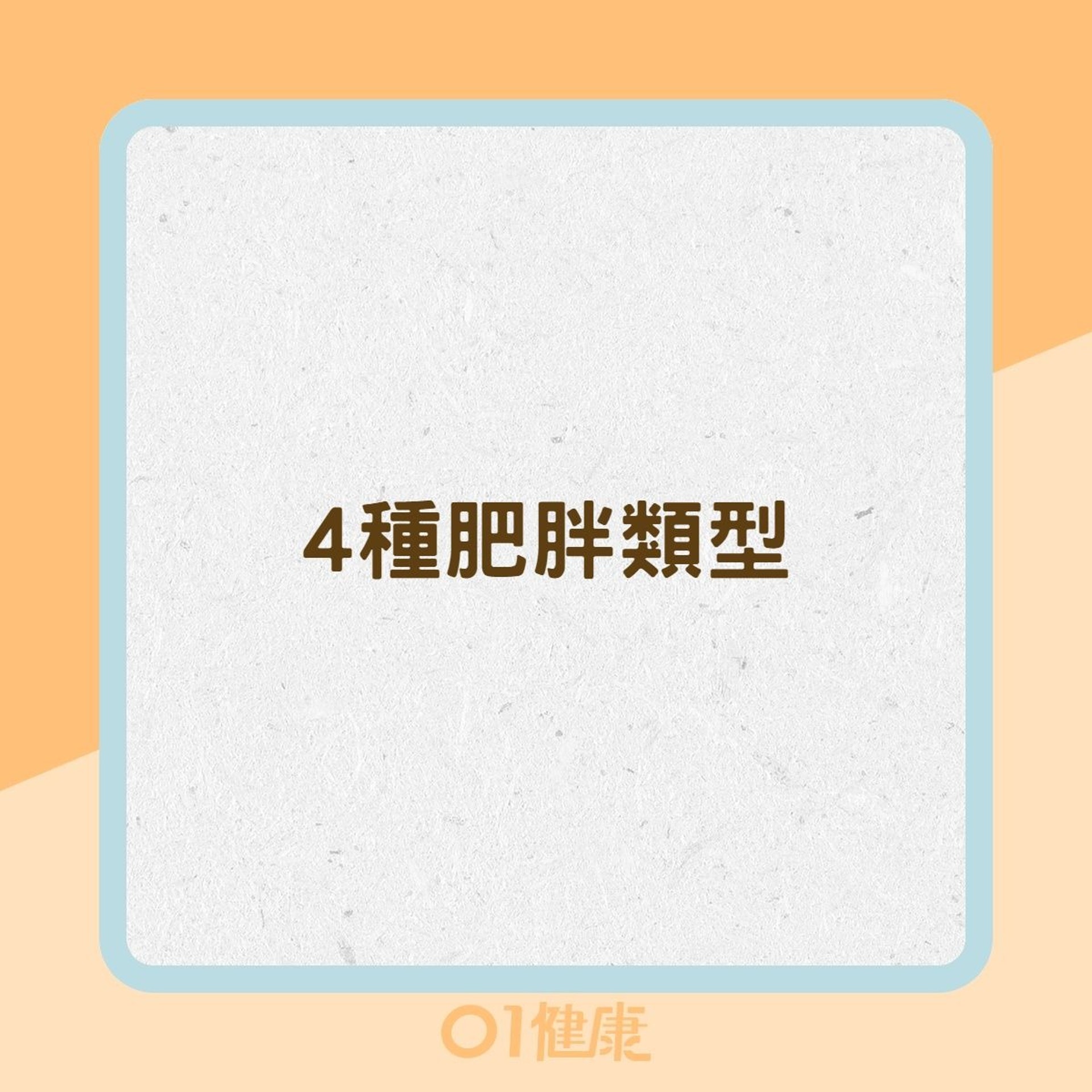 4種肥胖類型(01製圖) 4種肥胖類型(01製圖)