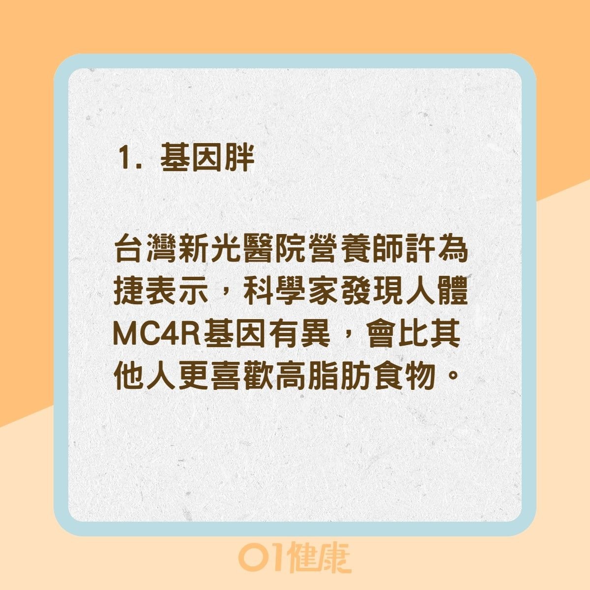 4種肥胖類型（01製圖）