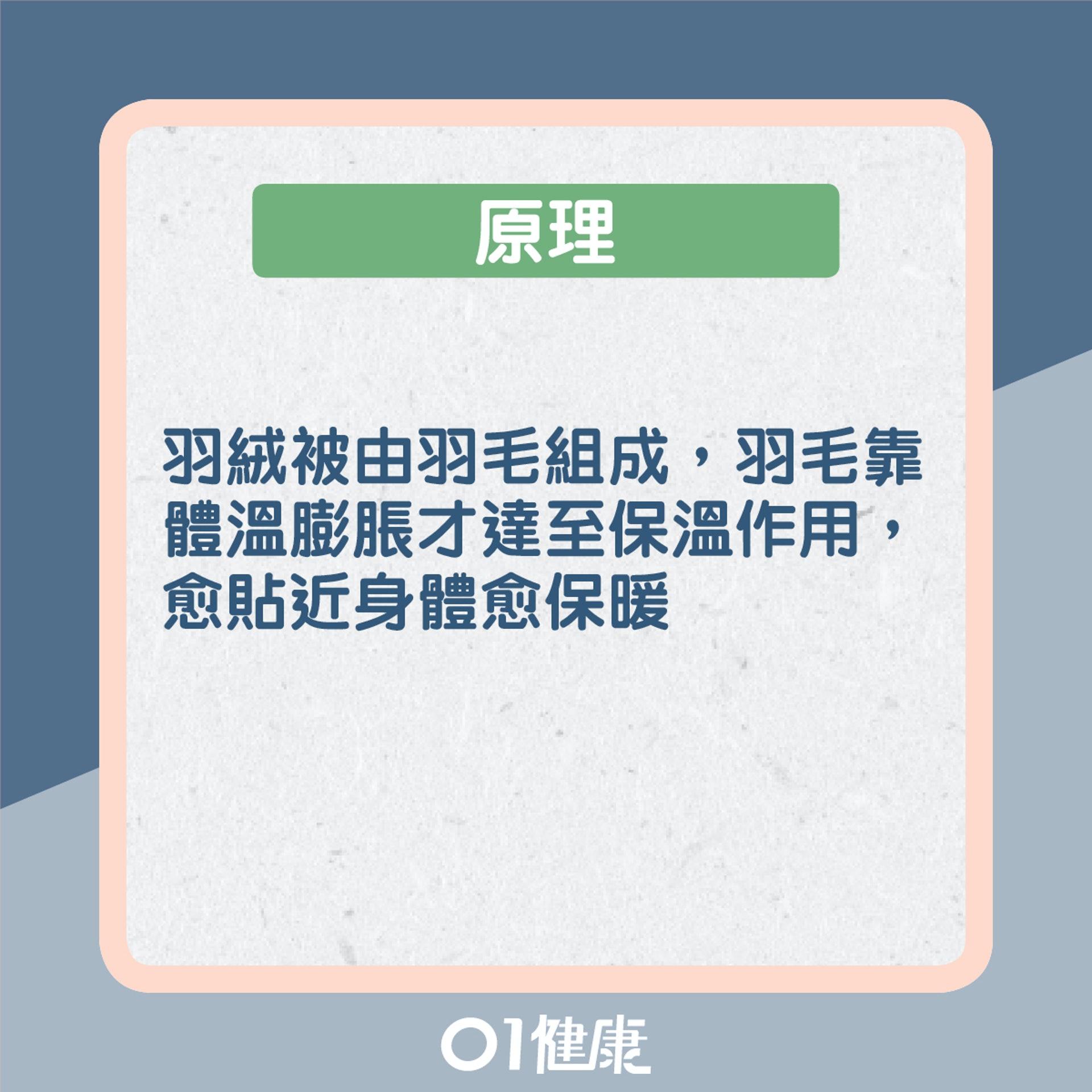 三文治式蓋被法測試(01製圖) 三文治式蓋被法測試(01製圖)