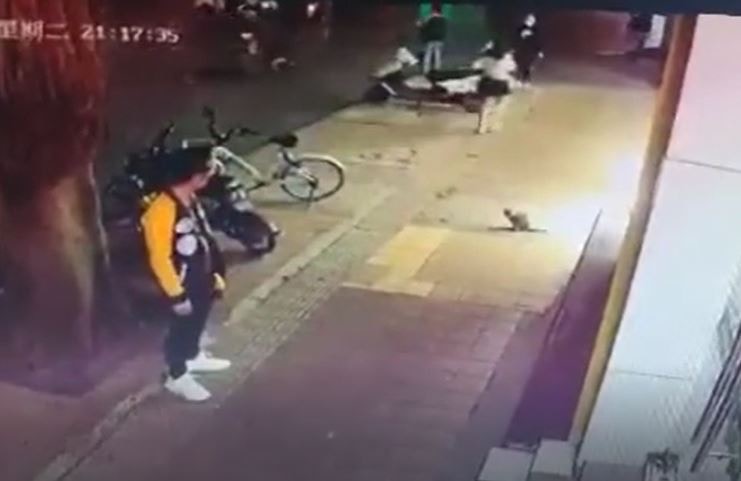 有片】廣西男當街虐死小貓起腳猛踢踩踏逾2分鐘不斷氣不收手｜香港01 