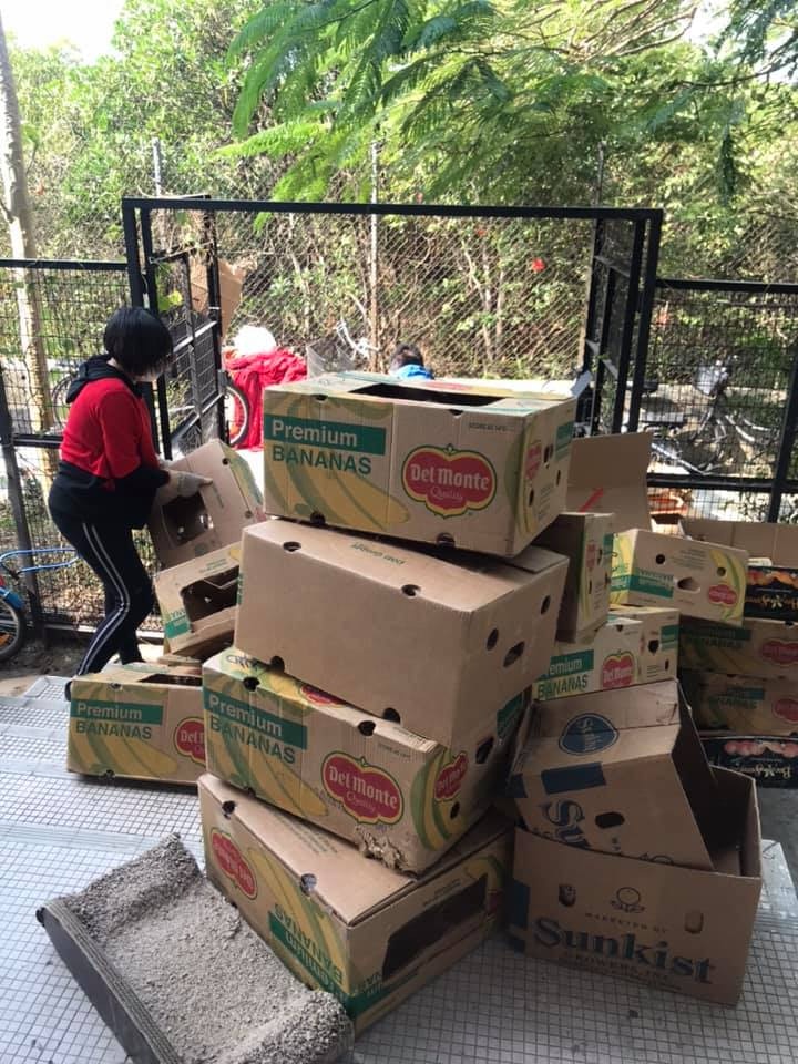 義工合力在女事主家中清出大量紙箱,以便捕捉家貓回協會暫養。(大澳流浪貓之家提供) 義工合力在女事主家中清出大量紙箱,以便捕捉家貓回協會暫養。(大澳流浪貓之家提供)