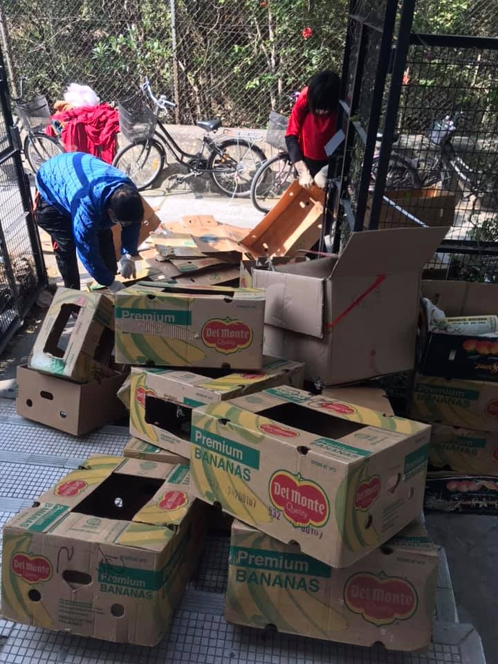 義工合力在女事主家中清出大量紙箱,以便捕捉家貓回協會暫養。(大澳流浪貓之家提供) 義工合力在女事主家中清出大量紙箱,以便捕捉家貓回協會暫養。(大澳流浪貓之家提供)