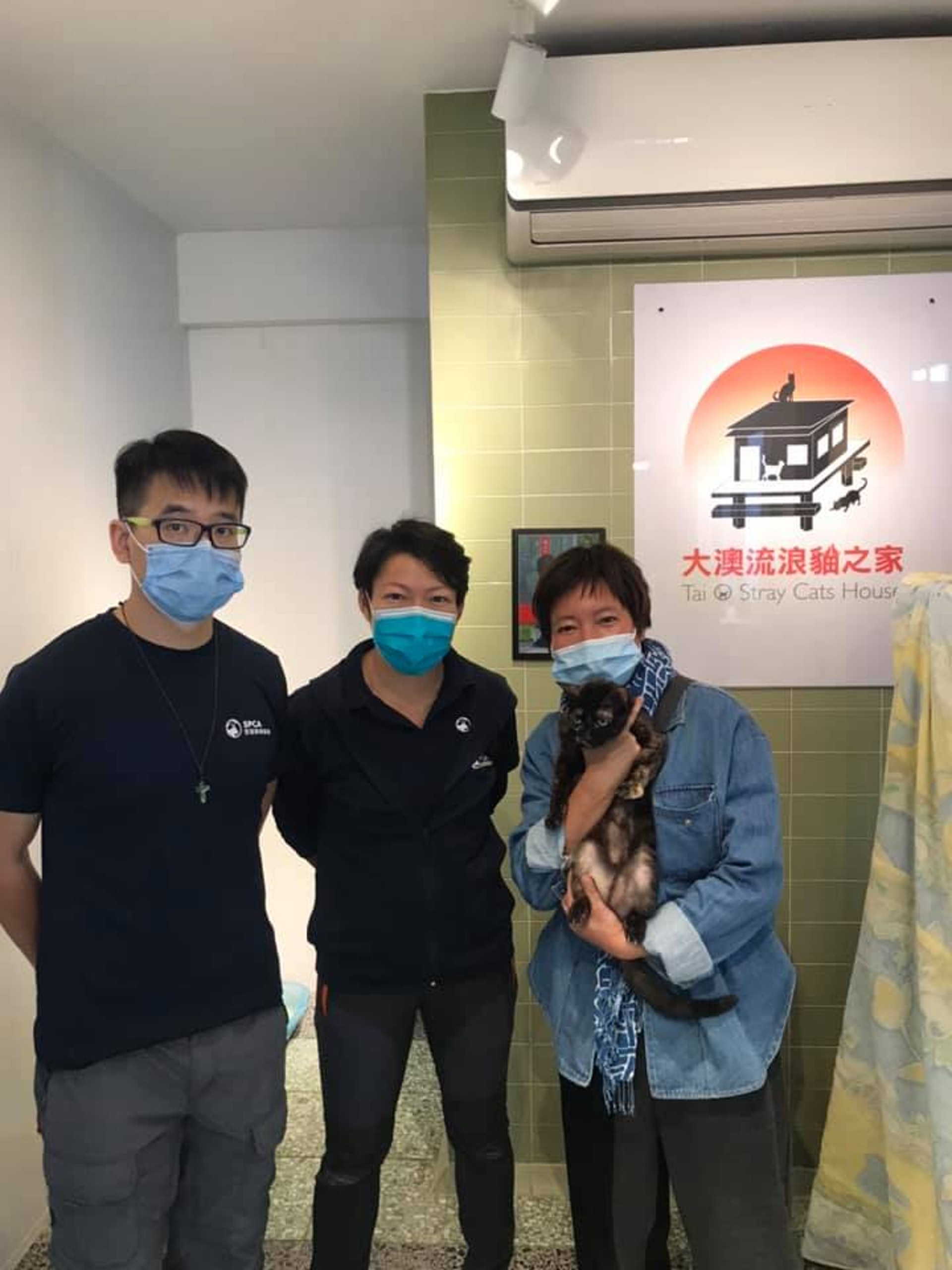 大澳流浪貓之家在愛協及義工協助下,合共救起至少25隻貓,暫放於協會會址寄養。(大澳流浪貓之家提供) 大澳流浪貓之家在愛協及義工協助下,合共救起至少25隻貓,暫放於協會會址寄養。(大澳流浪貓之家提供)