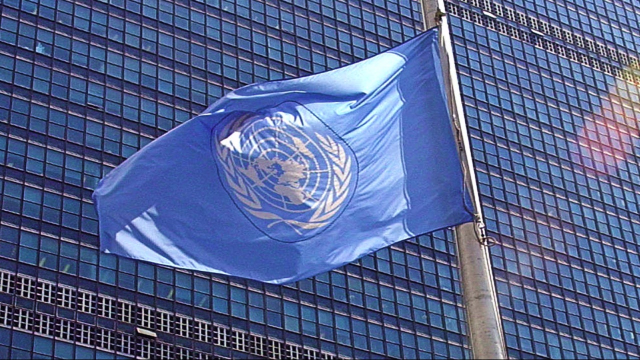 Оон 8 лет. Флаг ООН квадратный. Камеры ООН В Донецке. Настольный флаг ООН. Флаг ООН В майнкрафт.