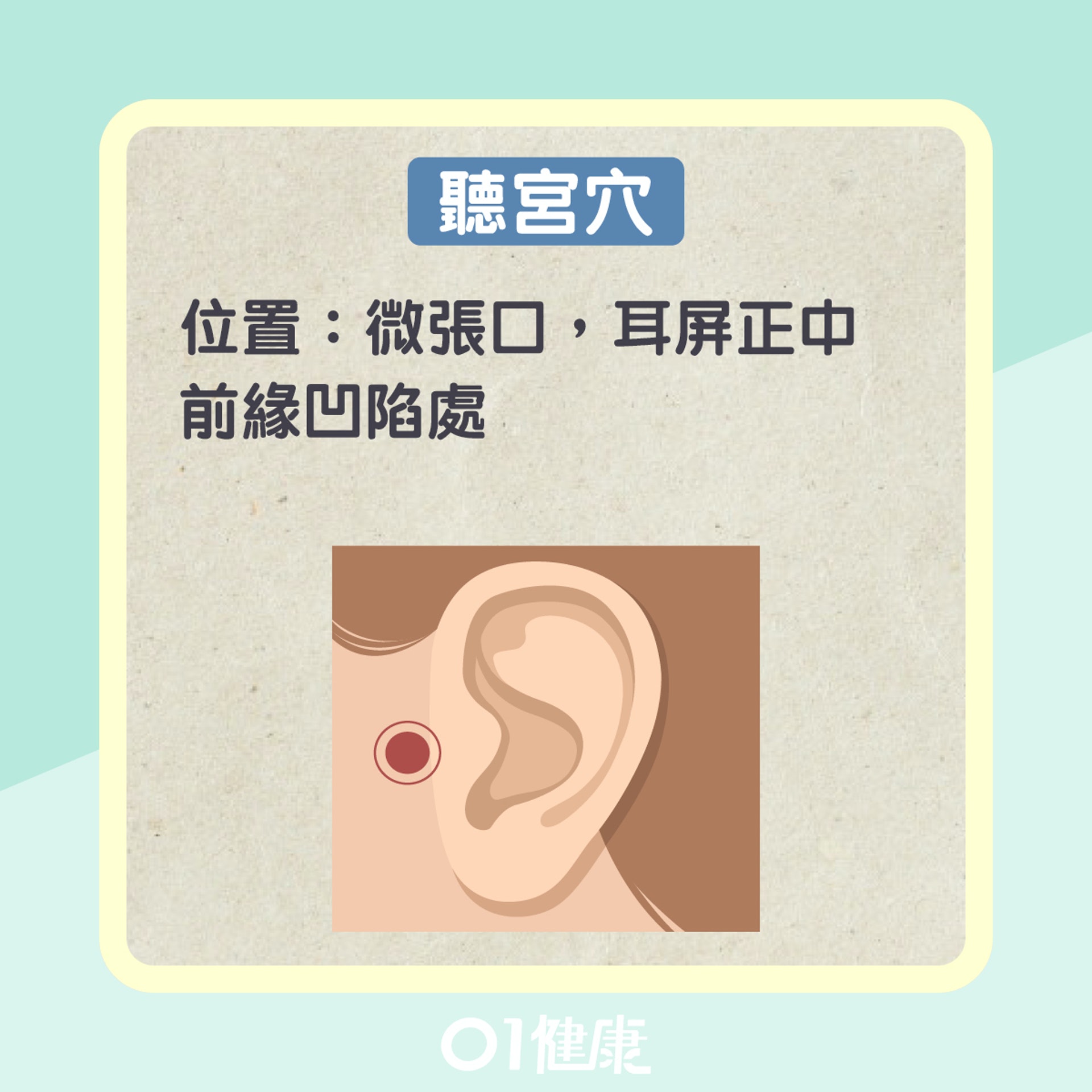 聽宮穴(01製圖) 聽宮穴(01製圖)