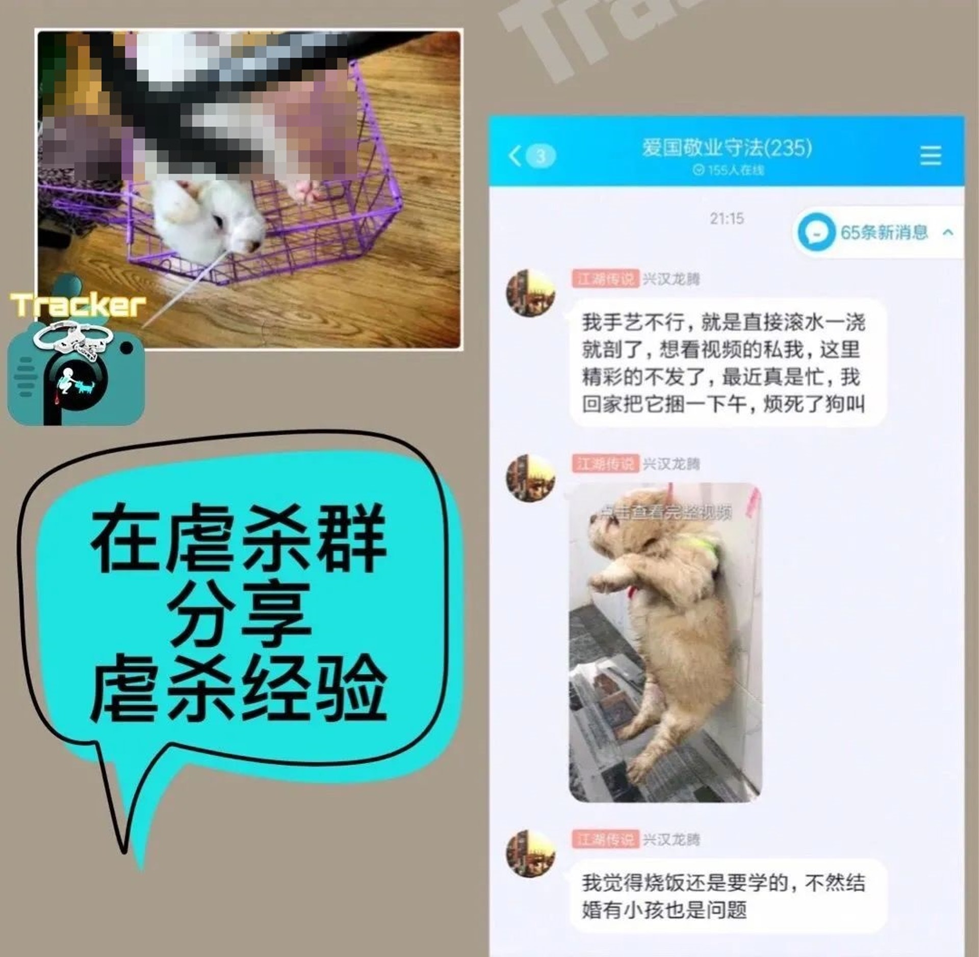 王照蔚在QQ聊天群上分享虐殺成果。(微博) 王照蔚在QQ聊天群上分享虐殺成果。(微博)