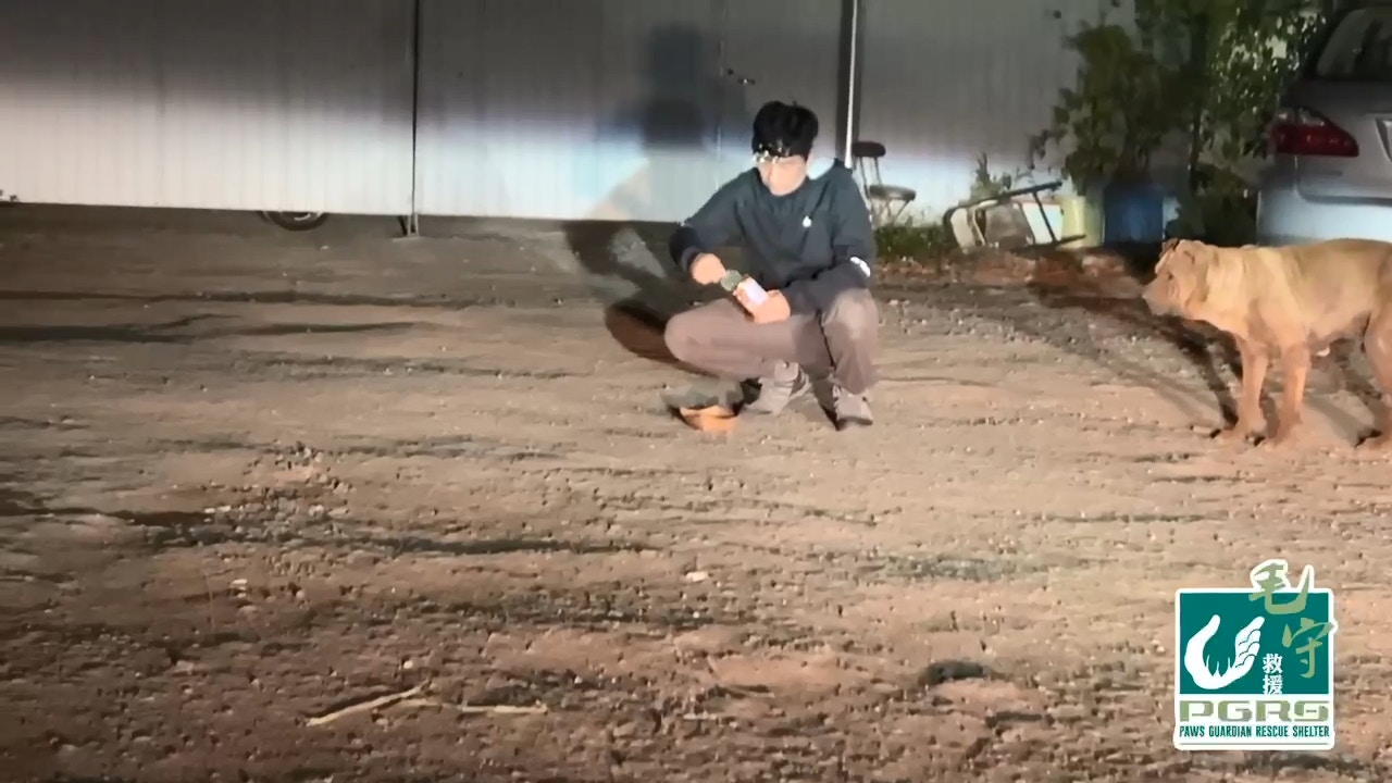 翌日,Kent在到場帶走牠,當時遇到附近的鄰居,查問下得知狗狗原本有主人。(毛孩守護者提供) 翌日,Kent在到場帶走牠,當時遇到附近的鄰居,查問下得知狗狗原本有主人。(毛孩守護者提供)