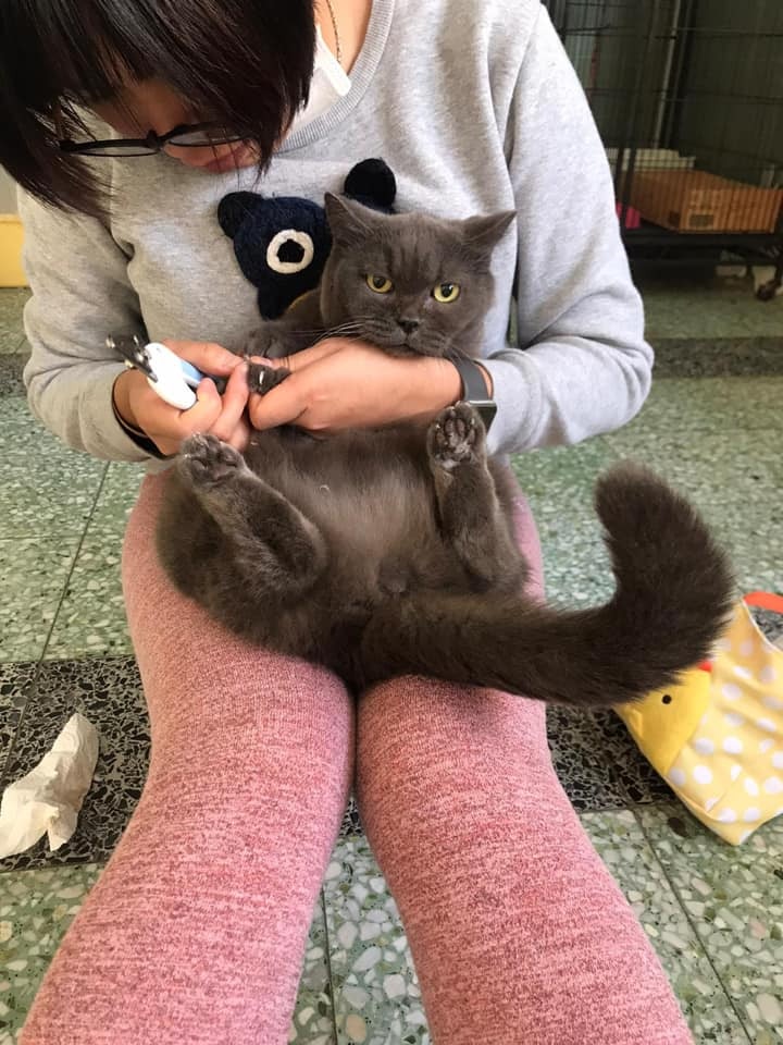 German聽附近街坊述說,事發前幾晩看見貓友在屋附近放貓。(Facebook@ 大澳流浪貓之家) German聽附近街坊述說,事發前幾晩看見貓友在屋附近放貓。(Facebook@ 大澳流浪貓之家)