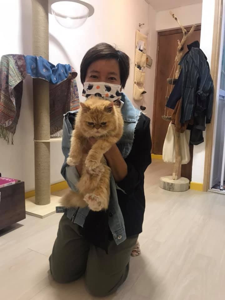 (Facebook@ 大澳流浪貓之家) (Facebook@ 大澳流浪貓之家)