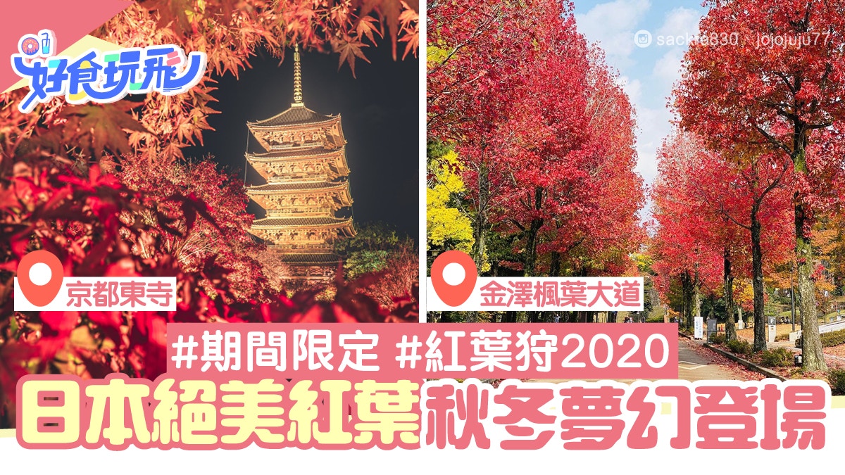 跟著日本人去 紅葉狩 京都清水寺限定浪漫夜楓金澤賞楓秘景