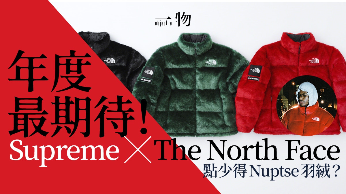 the north face nuptse x supreme