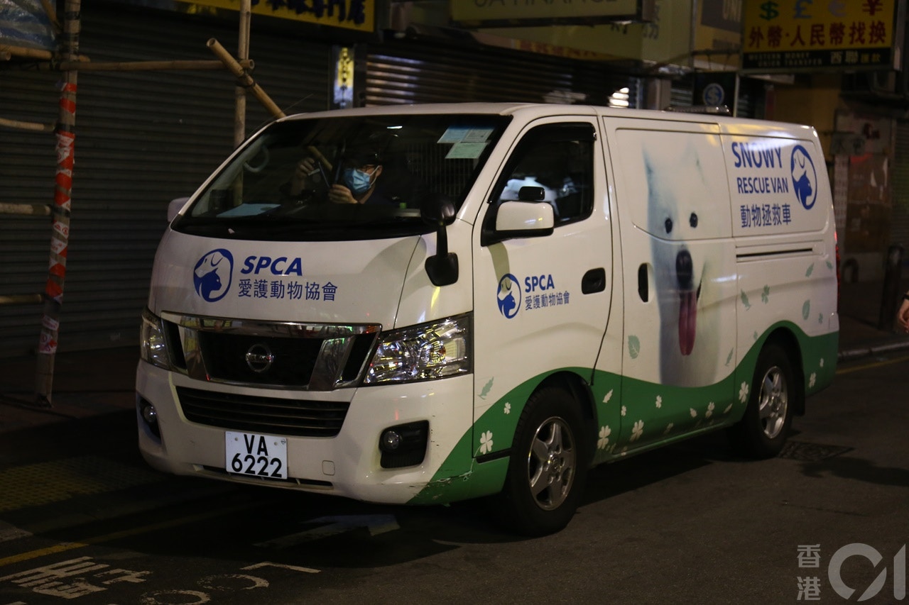 狗屍由愛護動物協會人員檢走。(劉定安攝) 狗屍由愛護動物協會人員檢走。(劉定安攝)