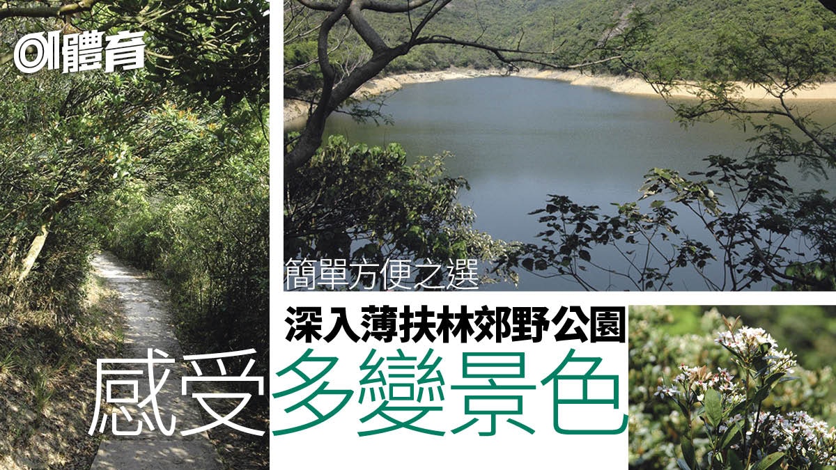港島行山路線|薄扶林家樂徑平坦易行 2個鐘內行完啱一家大細 港島行山路線|薄扶林家樂徑平坦易行 2個鐘內行完啱一家大細