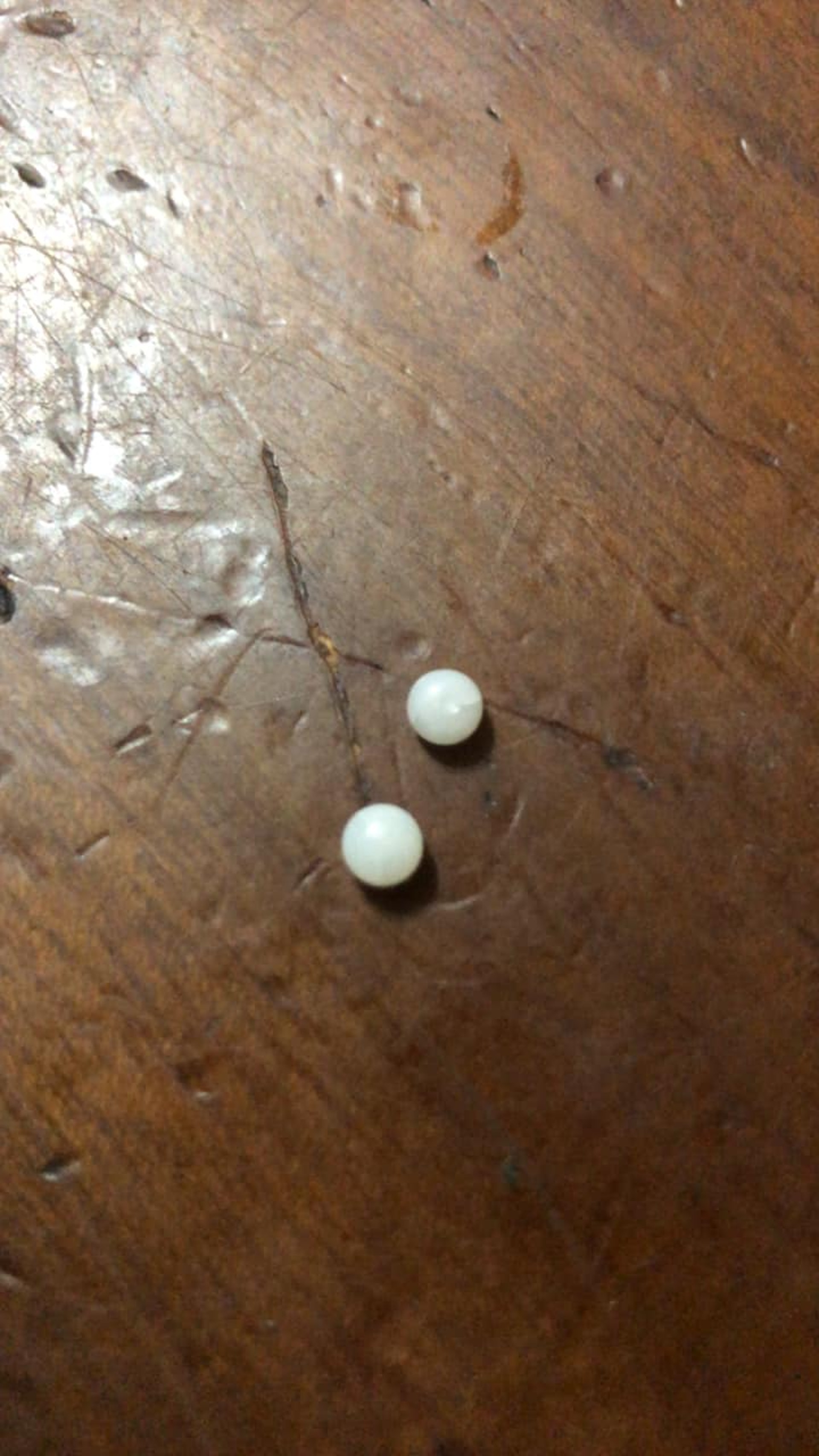有網友吃蛤蠣居然吃出了珍珠(FB@Costco好市多商品經驗老實說) 有網友吃蛤蠣居然吃出了珍珠(FB@Costco好市多商品經驗老實說)