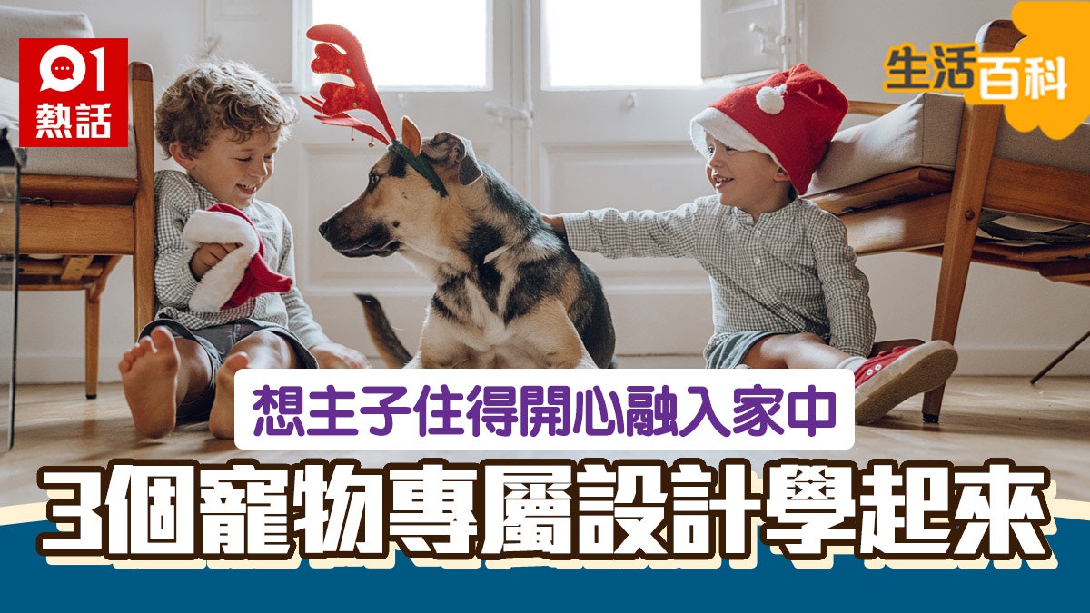 寵物裝修|幫寵物打造五星級的家 改裝呢項設備即變主子智能廁所 寵物裝修|幫寵物打造五星級的家 改裝呢項設備即變主子智能廁所