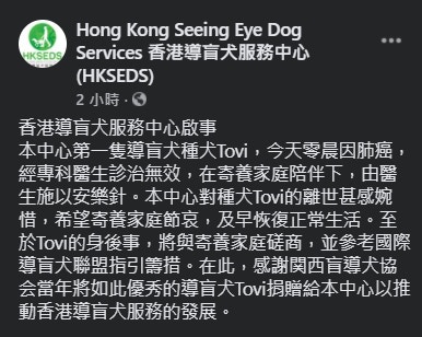 香港導盲犬服務中心今晨(15日)在社交媒體發文,宣布Tovi死訊。(香港導盲犬服務中心Facebook截圖) 香港導盲犬服務中心今晨(15日)在社交媒體發文,宣布Tovi死訊。(香港導盲犬服務中心Facebook截圖)