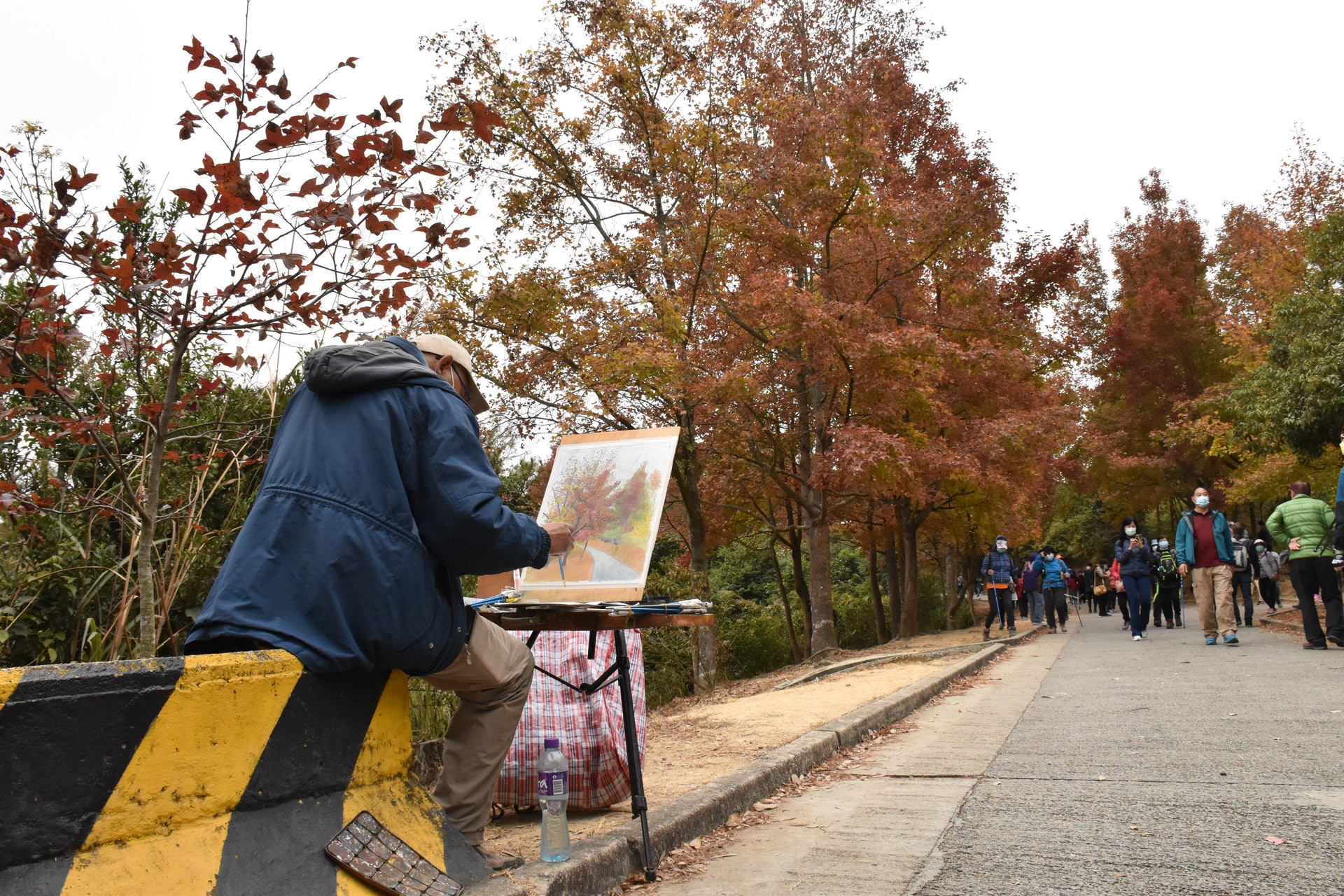 在紅葉季節,有人特地行到大棠畫畫,用畫筆記下紅葉美景。(顏銘輝攝) 在紅葉季節,有人特地行到大棠畫畫,用畫筆記下紅葉美景。(顏銘輝攝)