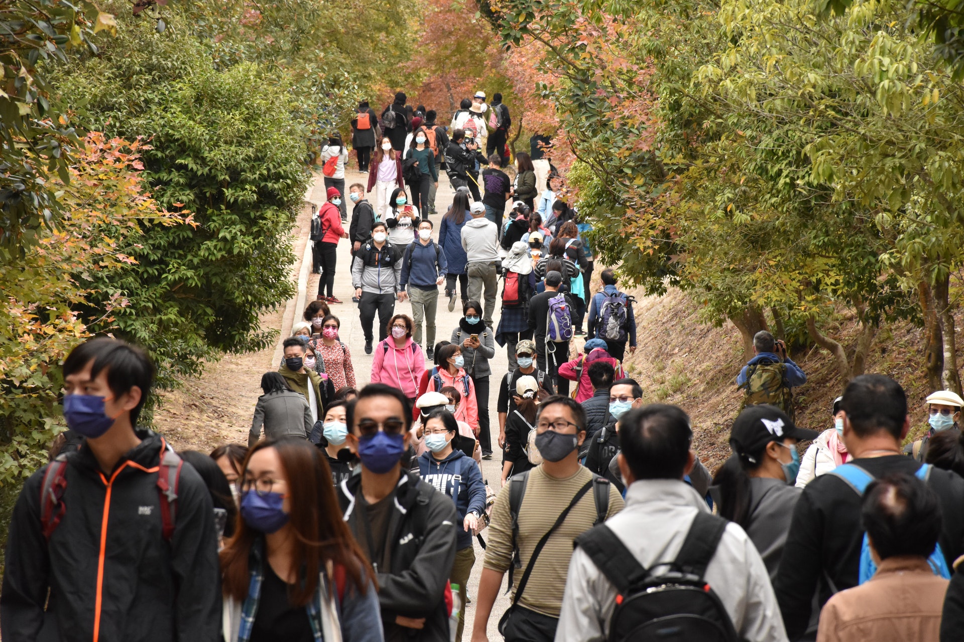 在閒日,大棠楓香林已經人山人海,郊遊人士觀賞紅葉。(顏銘輝攝) 在閒日,大棠楓香林已經人山人海,郊遊人士觀賞紅葉。(顏銘輝攝)