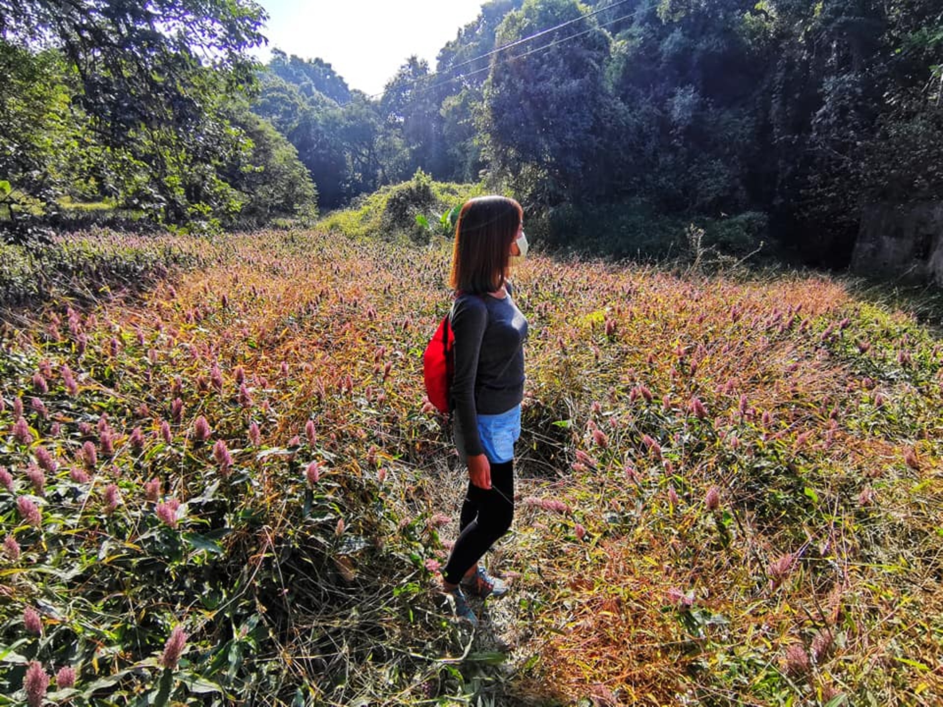 打卡郊遊路線:流水沙螺沿途風光(行山唔簡單授權使用) 打卡郊遊路線:流水沙螺沿途風光(行山唔簡單授權使用)
