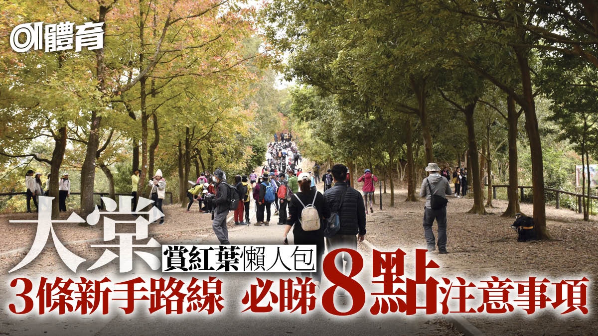 行山 大棠賞紅葉懶人包3條性價比最高路線推介附交通攻略 香港01 即時體育