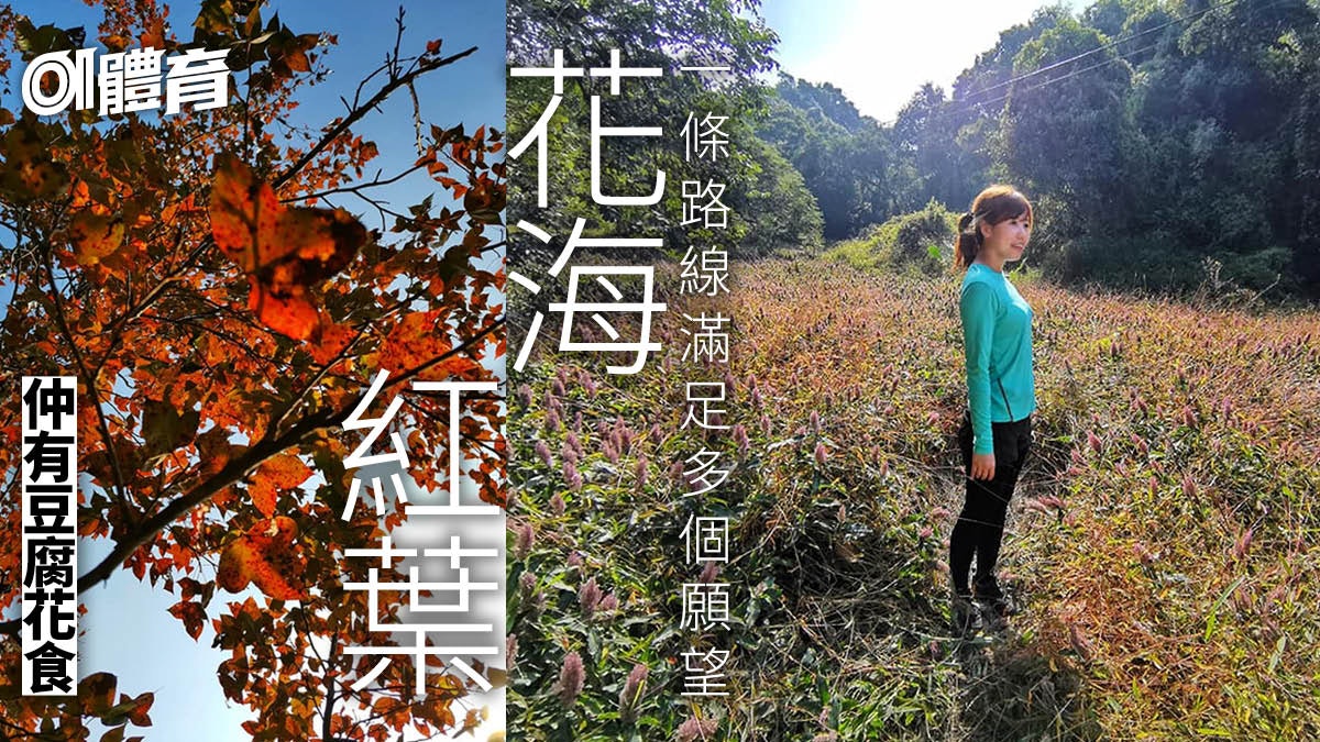 新界行山路線|暢遊流水響沙螺洞 天空之鏡、花海、紅葉樣樣齊 新界行山路線|暢遊流水響沙螺洞 天空之鏡、花海、紅葉樣樣齊