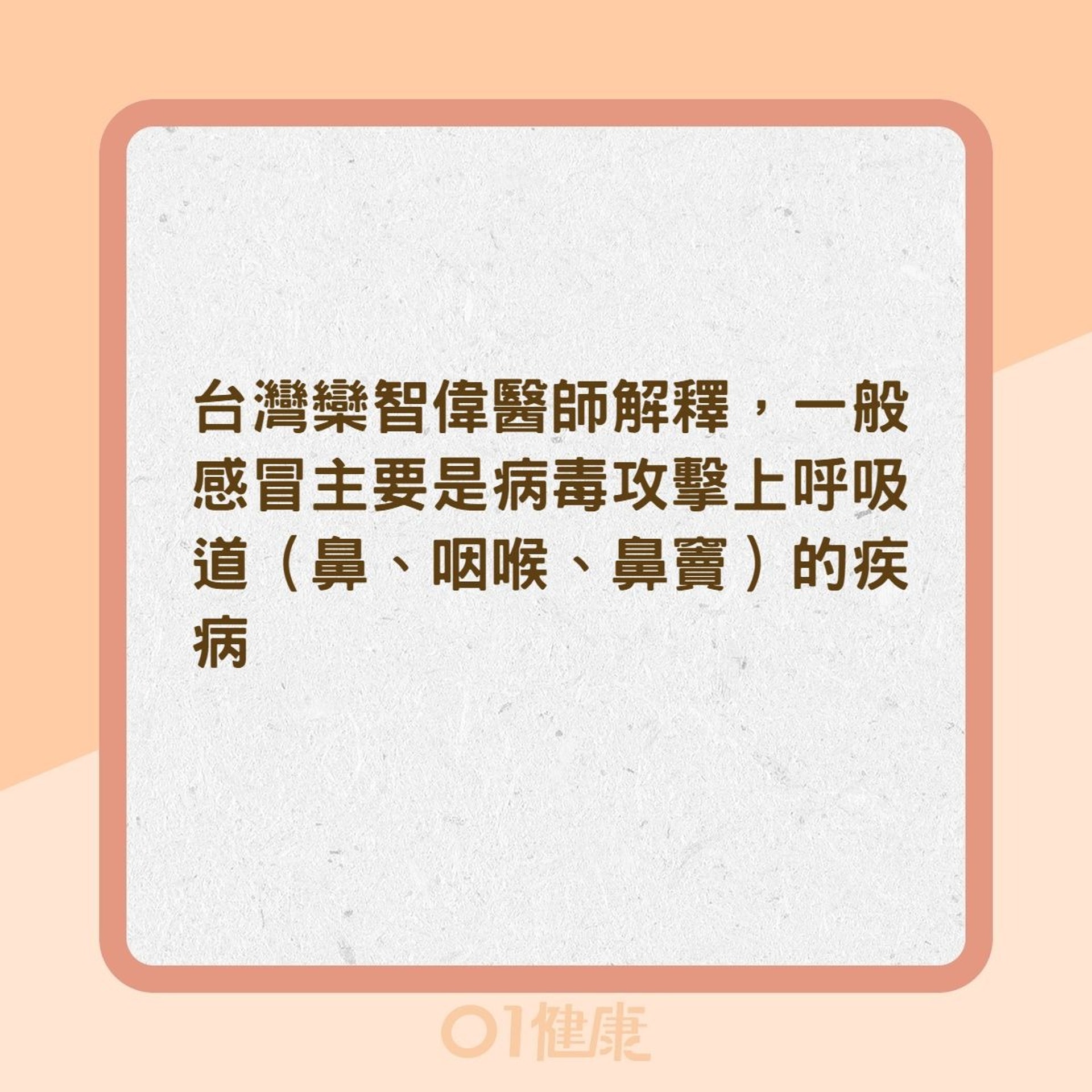 鼻竇炎、感冒、過敏性鼻炎差異（01製圖）