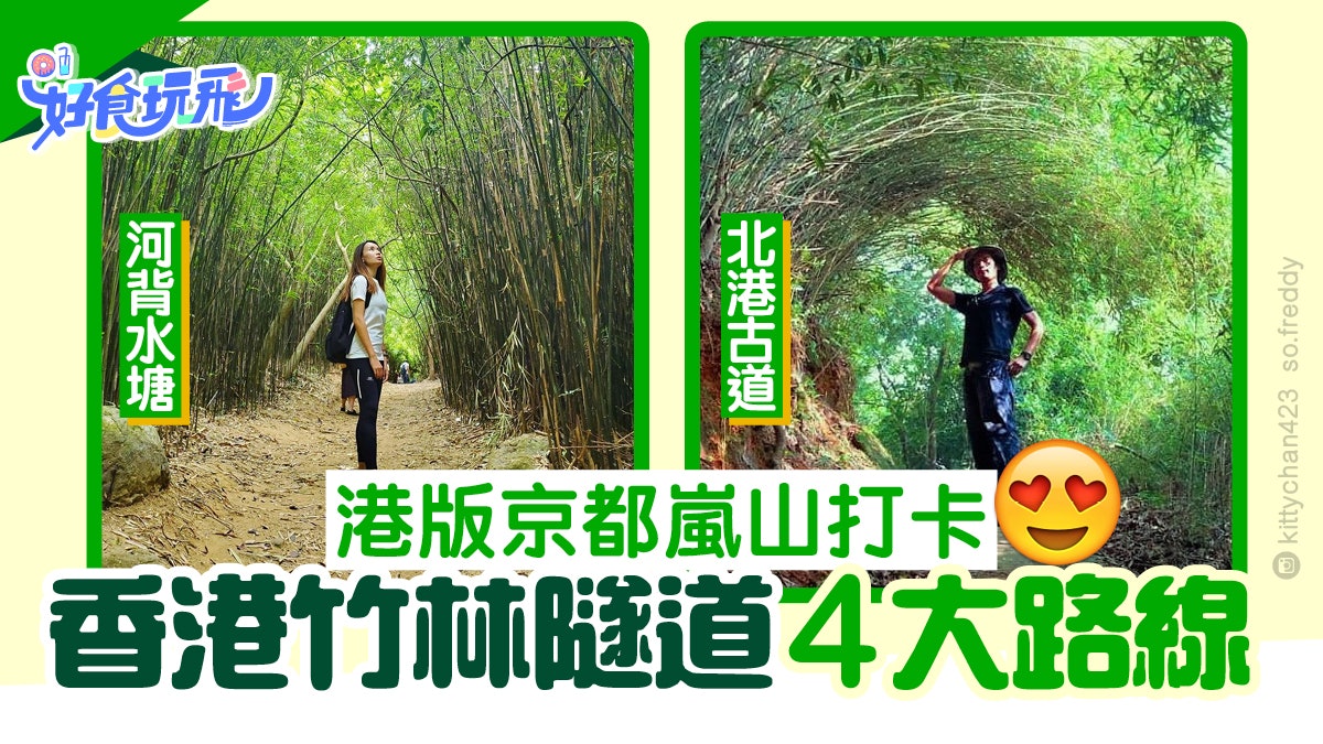 港版嵐山 4大竹林隧道打卡行山 茅坪深幽環道 大埔燕岩茂林 香港01 旅遊 港版嵐山 4大竹林隧道打卡行山 茅坪深幽環道 大埔燕岩茂林 香港01 旅遊