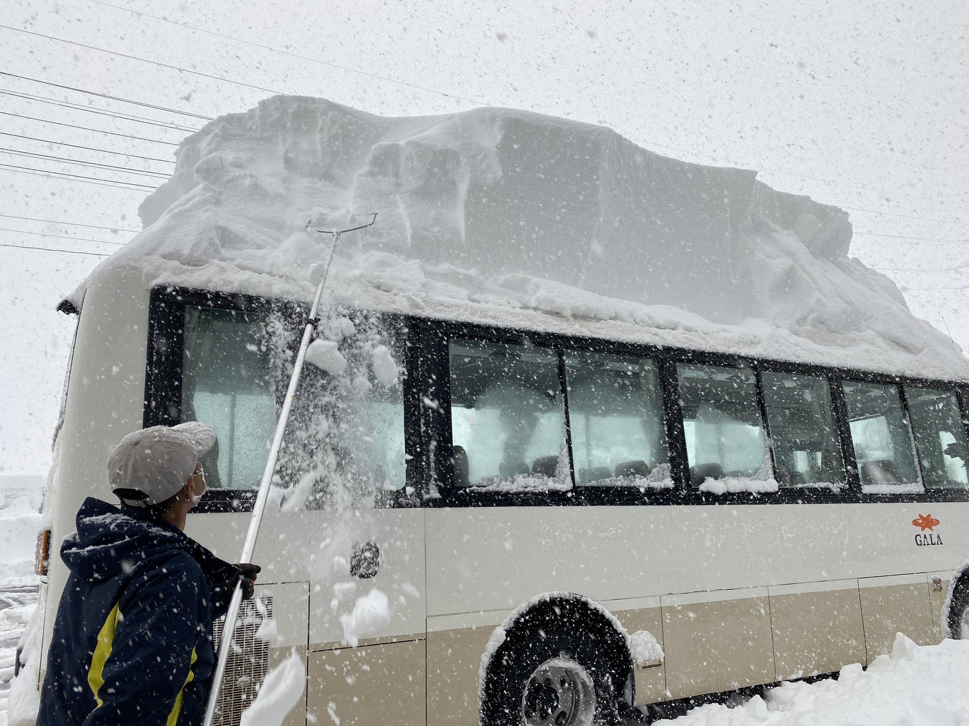 日本東北地區暴雪有幾勁 新潟縣白茫茫滑雪場小巴變雙層巴士 香港01 熱爆話題 日本東北地區暴雪有幾勁 新潟縣白茫茫滑雪場小巴變雙層巴士 香港01 熱爆話題