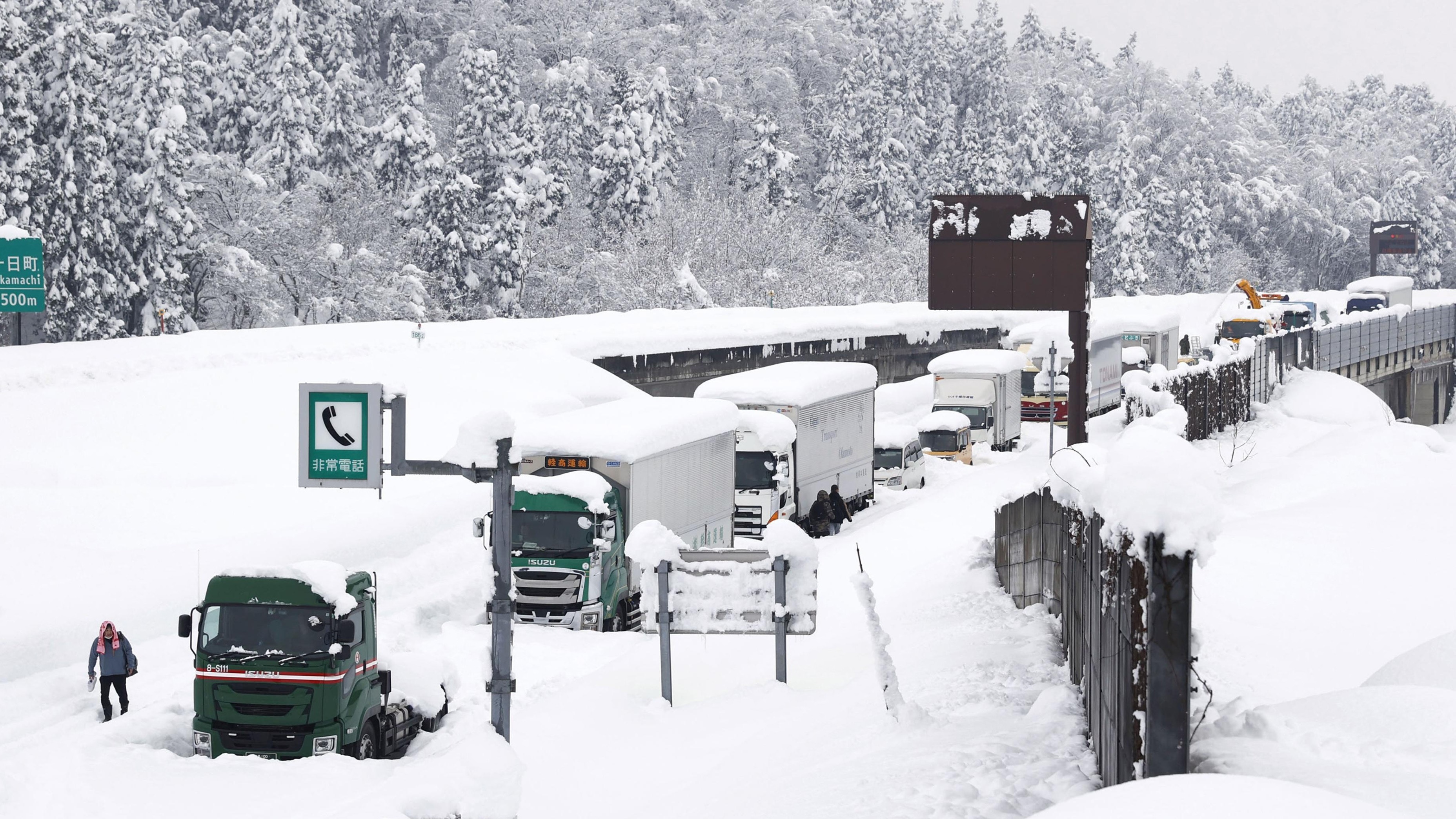 日本東北大雪5名長者剷雪時身亡44人被困滑雪場 香港01 世界專題