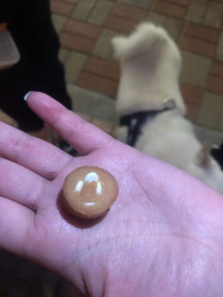 有網民聲稱在青衣長安邨海旁發現毒弭。(「長安後浪監察組」網民Yo Yo Mei圖片) 有網民聲稱在青衣長安邨海旁發現毒弭。(「長安後浪監察組」網民Yo Yo Mei圖片)