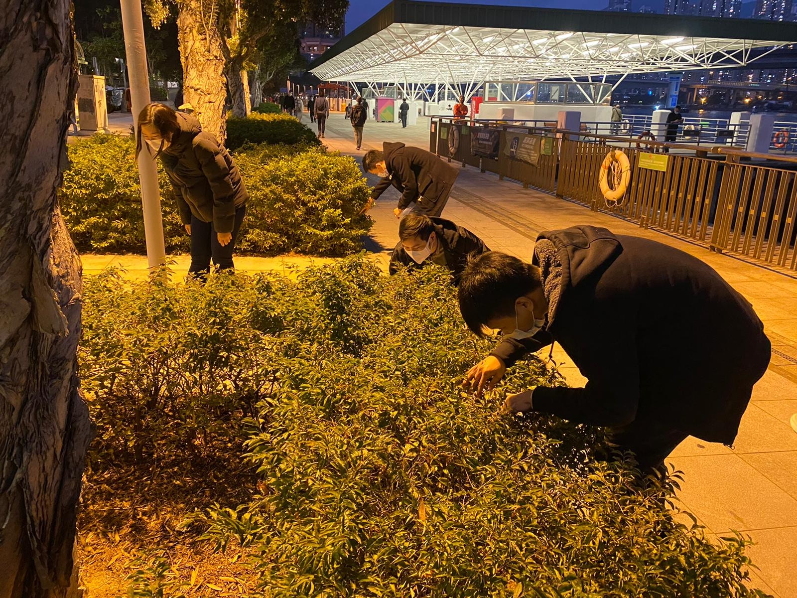 警方今日派員在青衣一帶搜尋證據。(警方提供圖片) 警方今日派員在青衣一帶搜尋證據。(警方提供圖片)