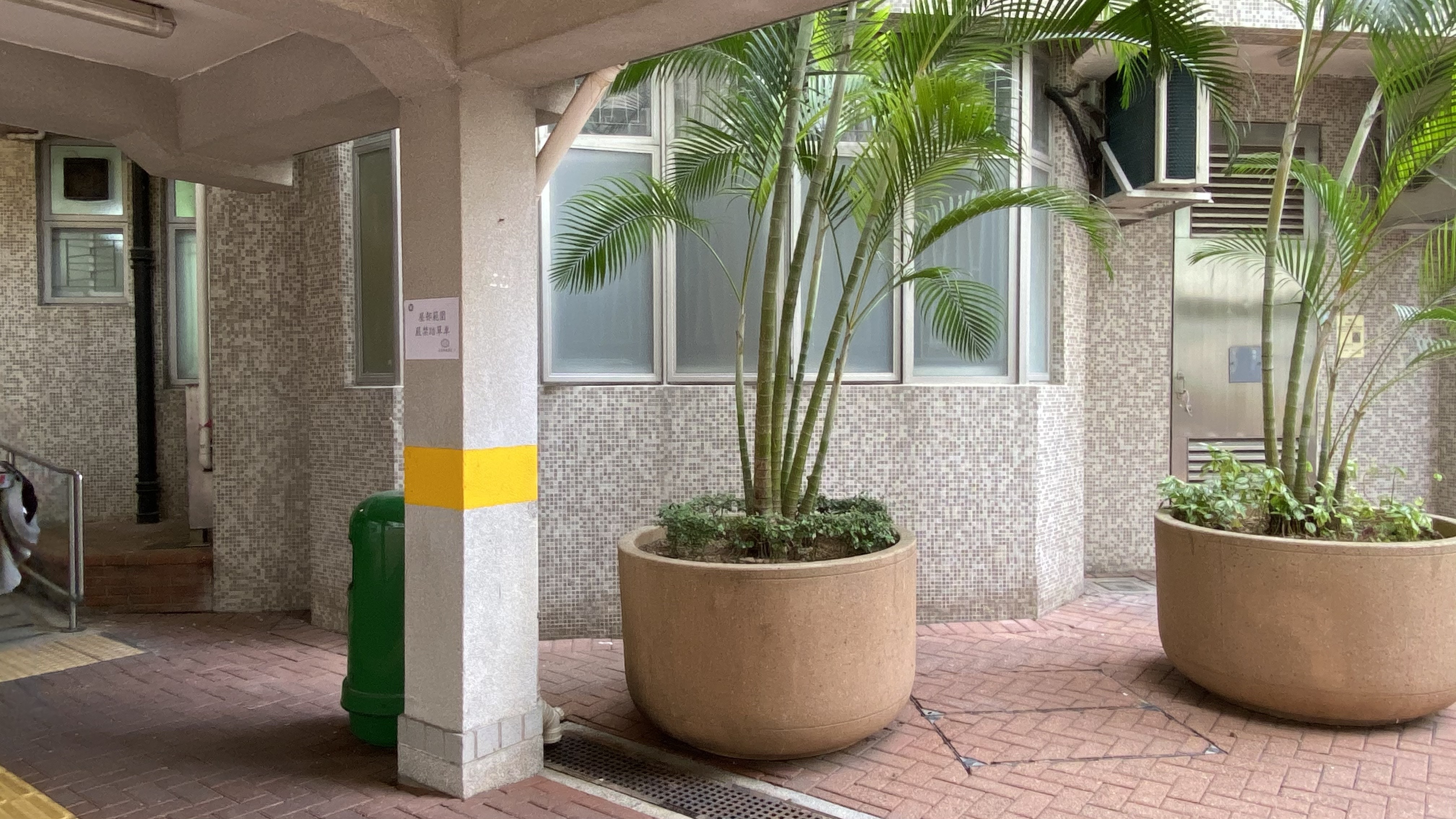 警員接報到場,發現有另一隻貓從高處墮下,兩隻貓均被現場證實死亡。(郭倩雯攝) 警員接報到場,發現有另一隻貓從高處墮下,兩隻貓均被現場證實死亡。(郭倩雯攝)