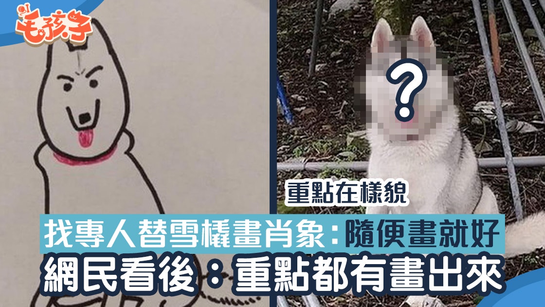 雪橇犬被畫家畫成塗鴉 樣貌特徵神還原 網民讚:神韻都有抓到 雪橇犬被畫家畫成塗鴉 樣貌特徵神還原 網民讚:神韻都有抓到