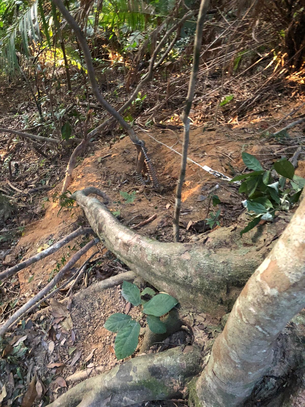 現場為新圍仔路一山坡。(愛協提供圖片) 現場為新圍仔路一山坡。(愛協提供圖片)