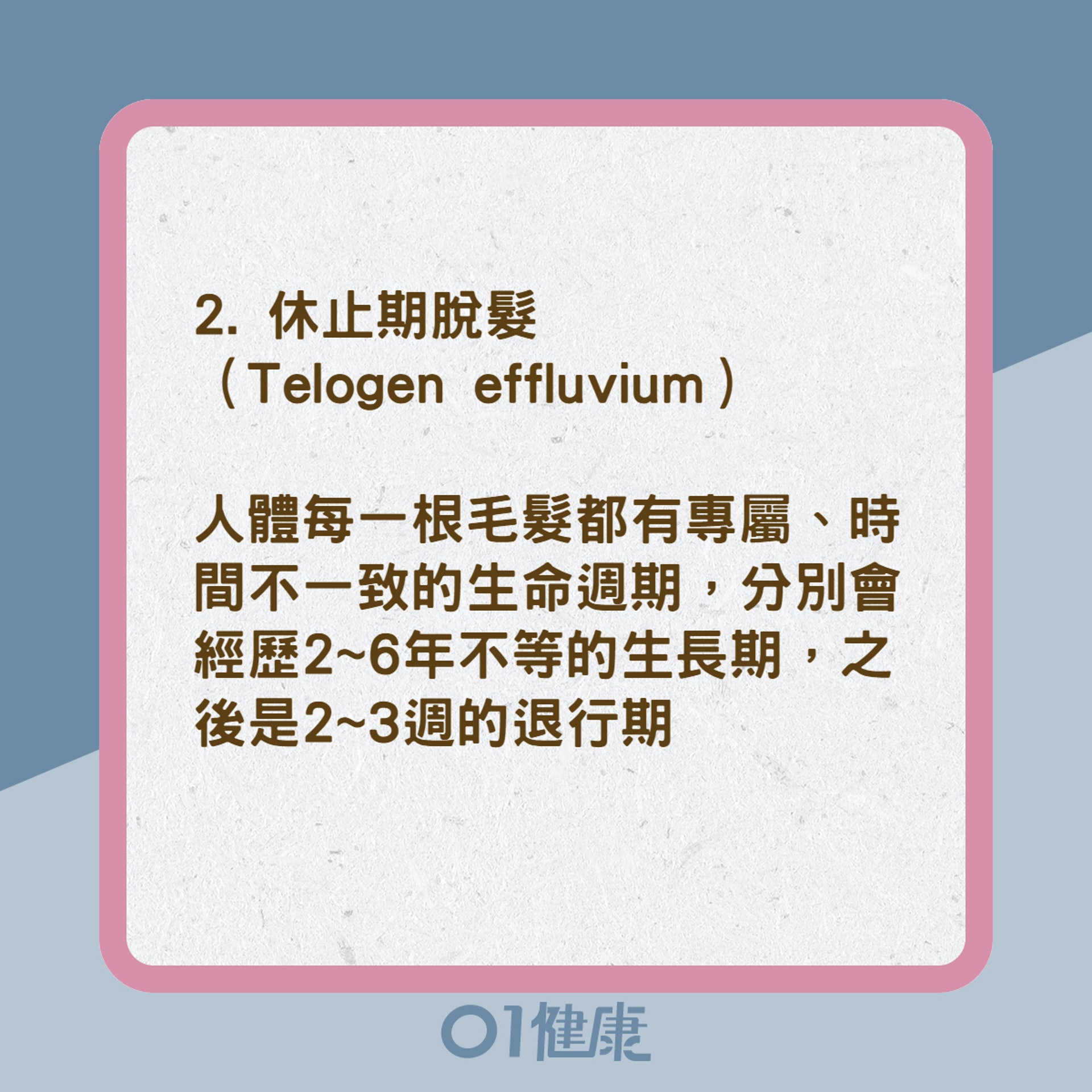 4大禿頭掉髮的類型(01製圖) 4大禿頭掉髮的類型(01製圖)