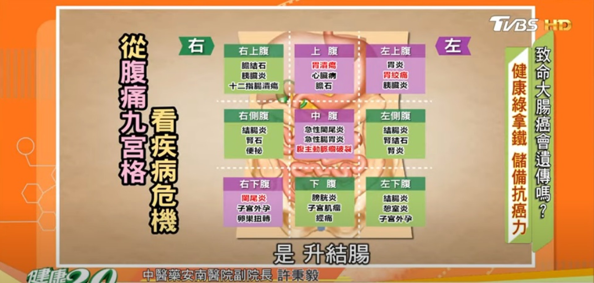 不同位置腹痛,可能是其他疾病的警號。(Youtube/《健康2.0》節目截圖) 不同位置腹痛,可能是其他疾病的警號。(Youtube/《健康2.0》節目截圖)