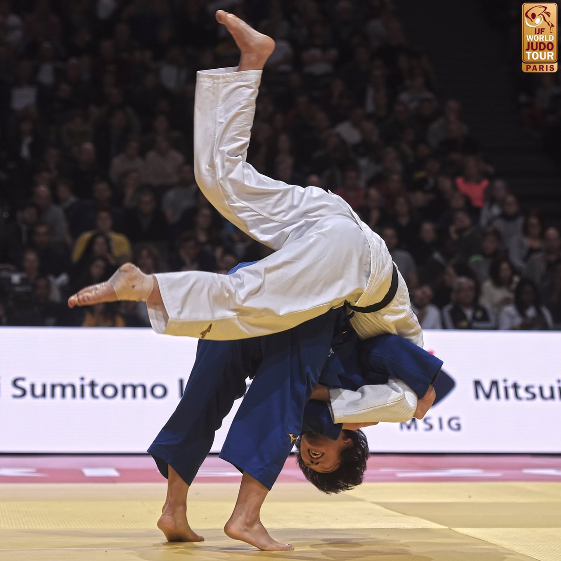 柔道名技︰背負投。(圖片來自︰Judo Twitter) 柔道名技︰背負投。(圖片來自︰Judo Twitter)