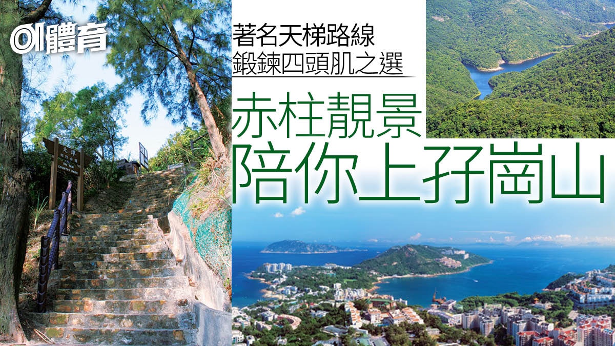 赤柱行山路線｜行天梯登孖崗山超考腳力　再上紫羅蘭山落陽明山莊