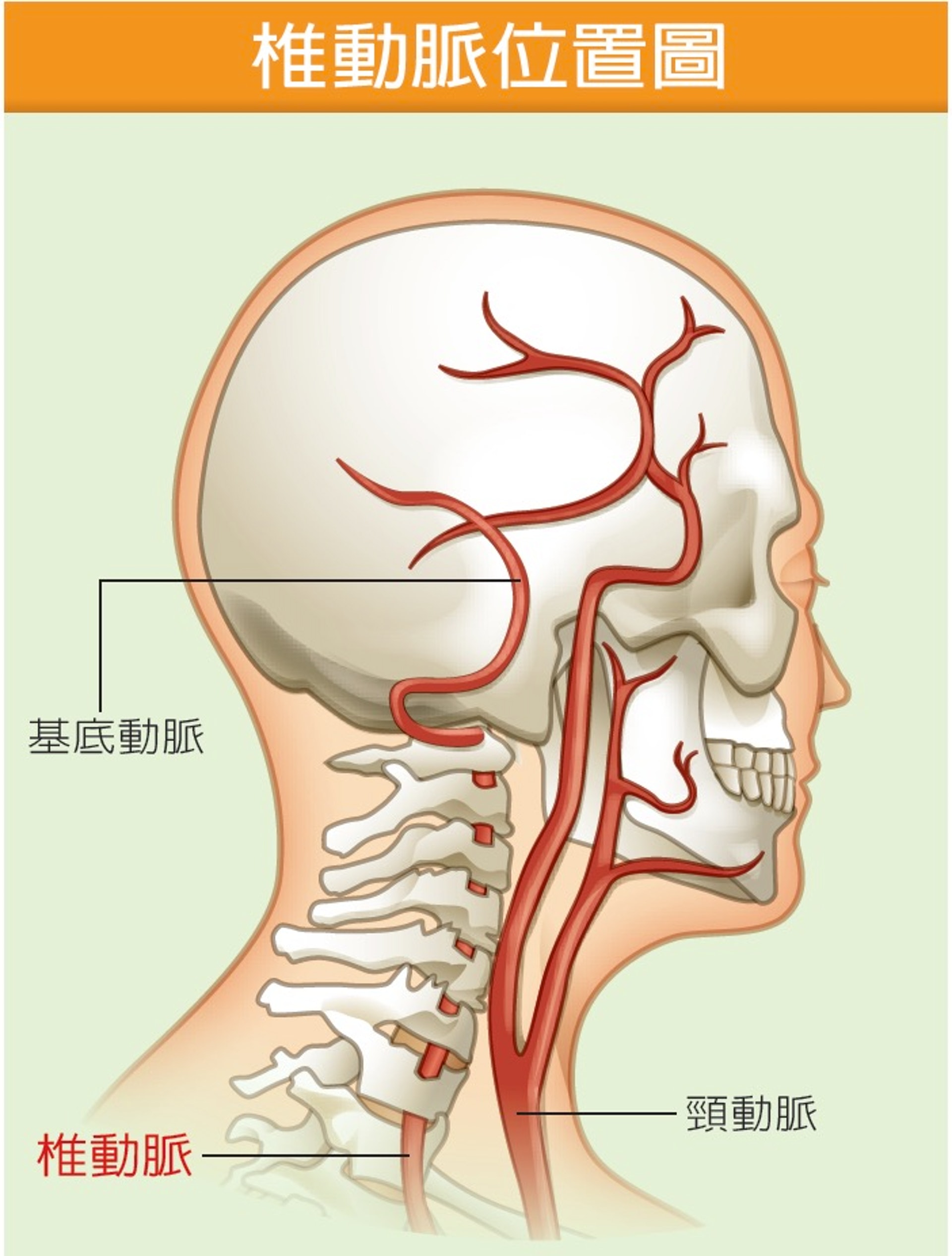 （圖片：twhealth）