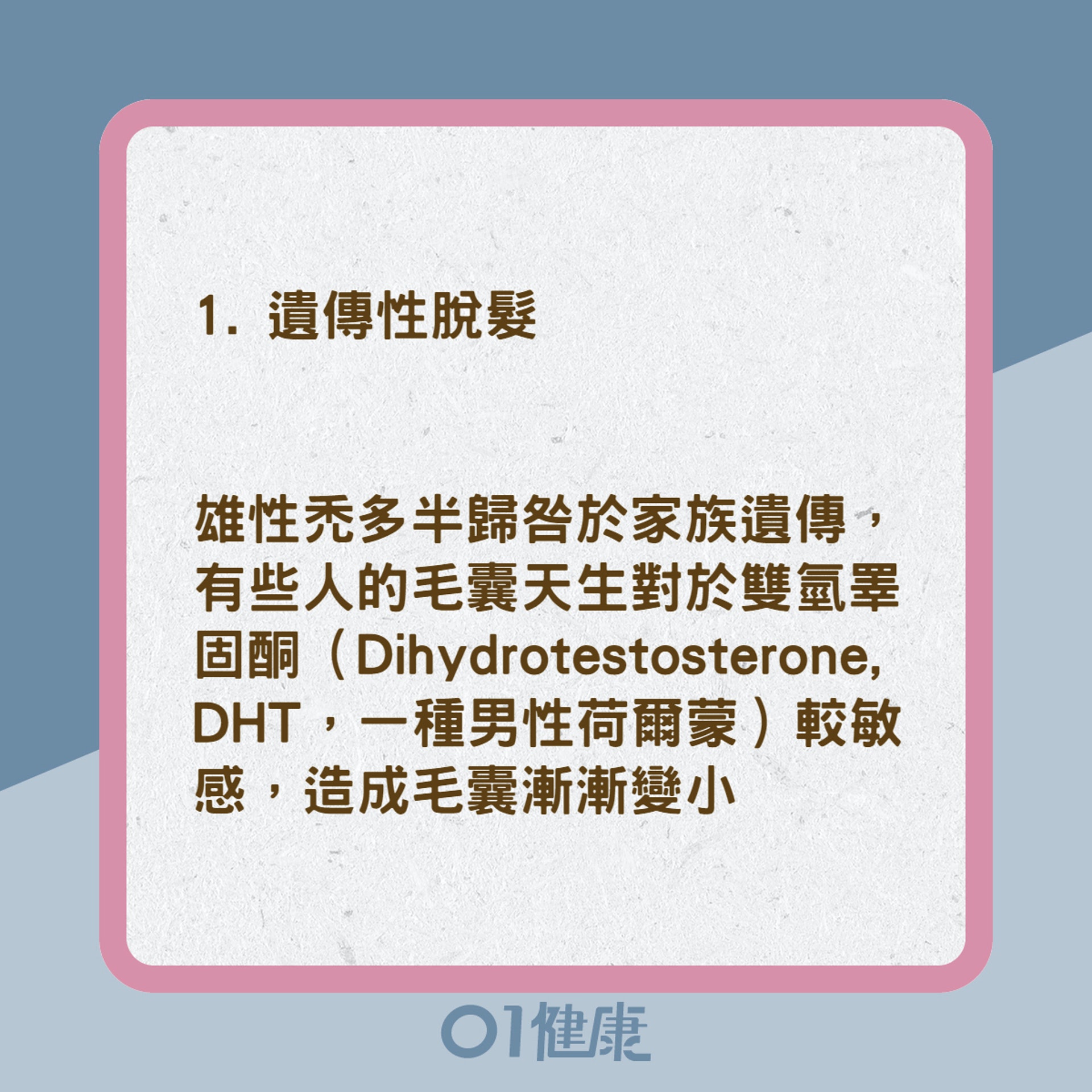 4大禿頭掉髮的類型(01製圖) 4大禿頭掉髮的類型(01製圖)