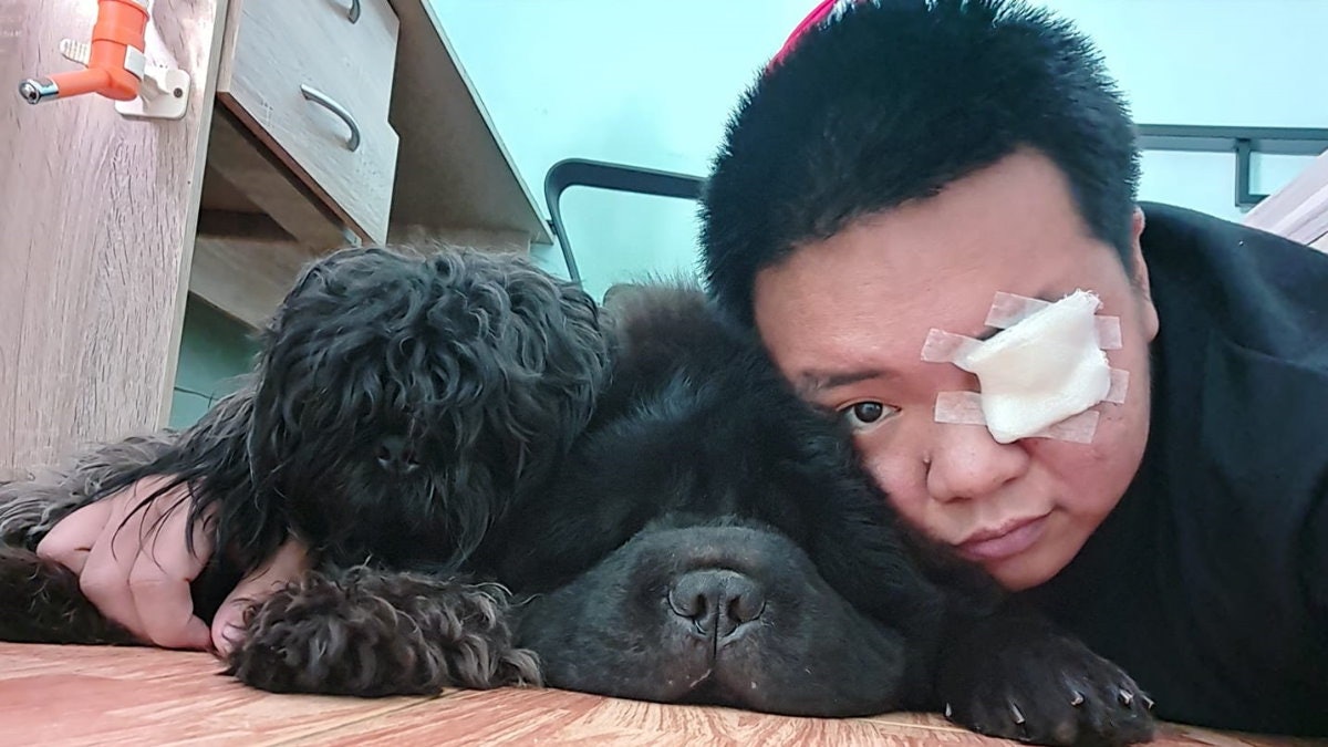 菲律賓超狂黑色鬆獅犬 竟撞飛主人眼角膜 事後人狗關係卻更親 菲律賓超狂黑色鬆獅犬 竟撞飛主人眼角膜 事後人狗關係卻更親