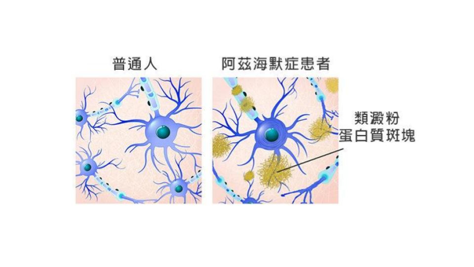 (圖片:epochtimes) (圖片:epochtimes)