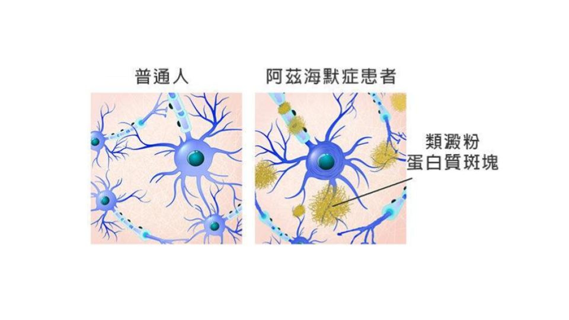 （圖片：epochtimes）